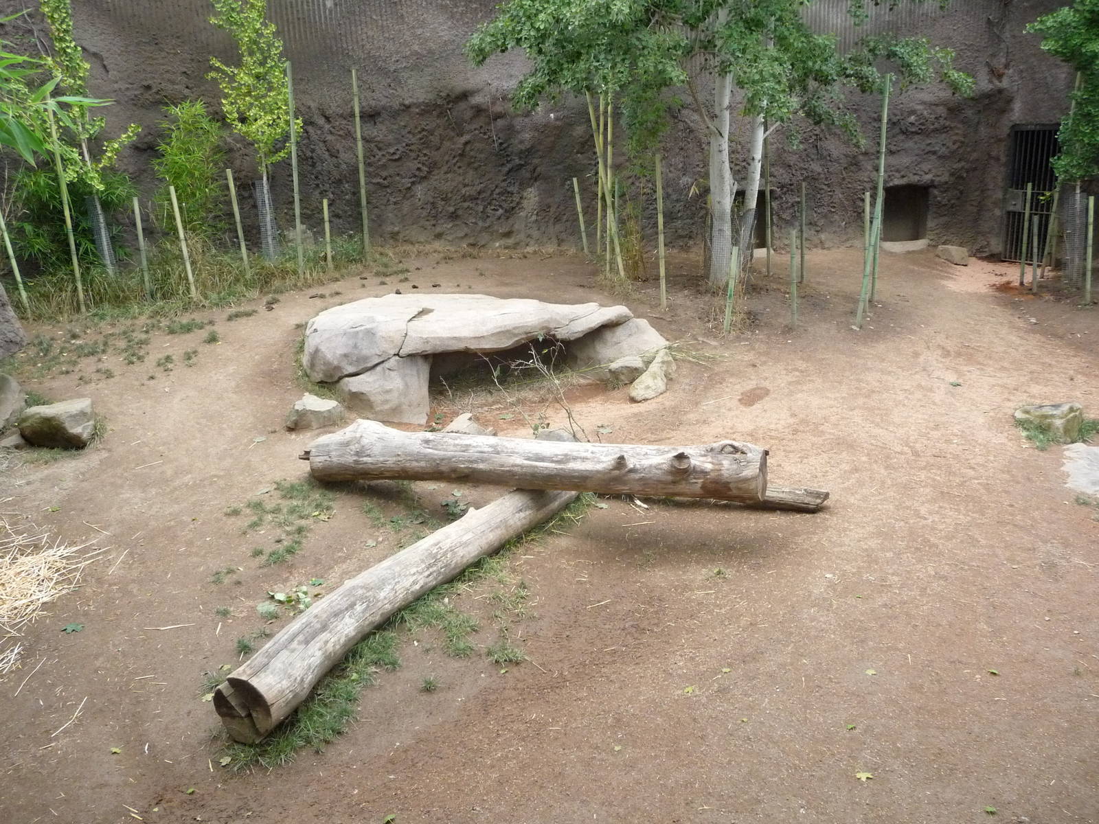 Oregon Zoo - Babirusa Exhibit