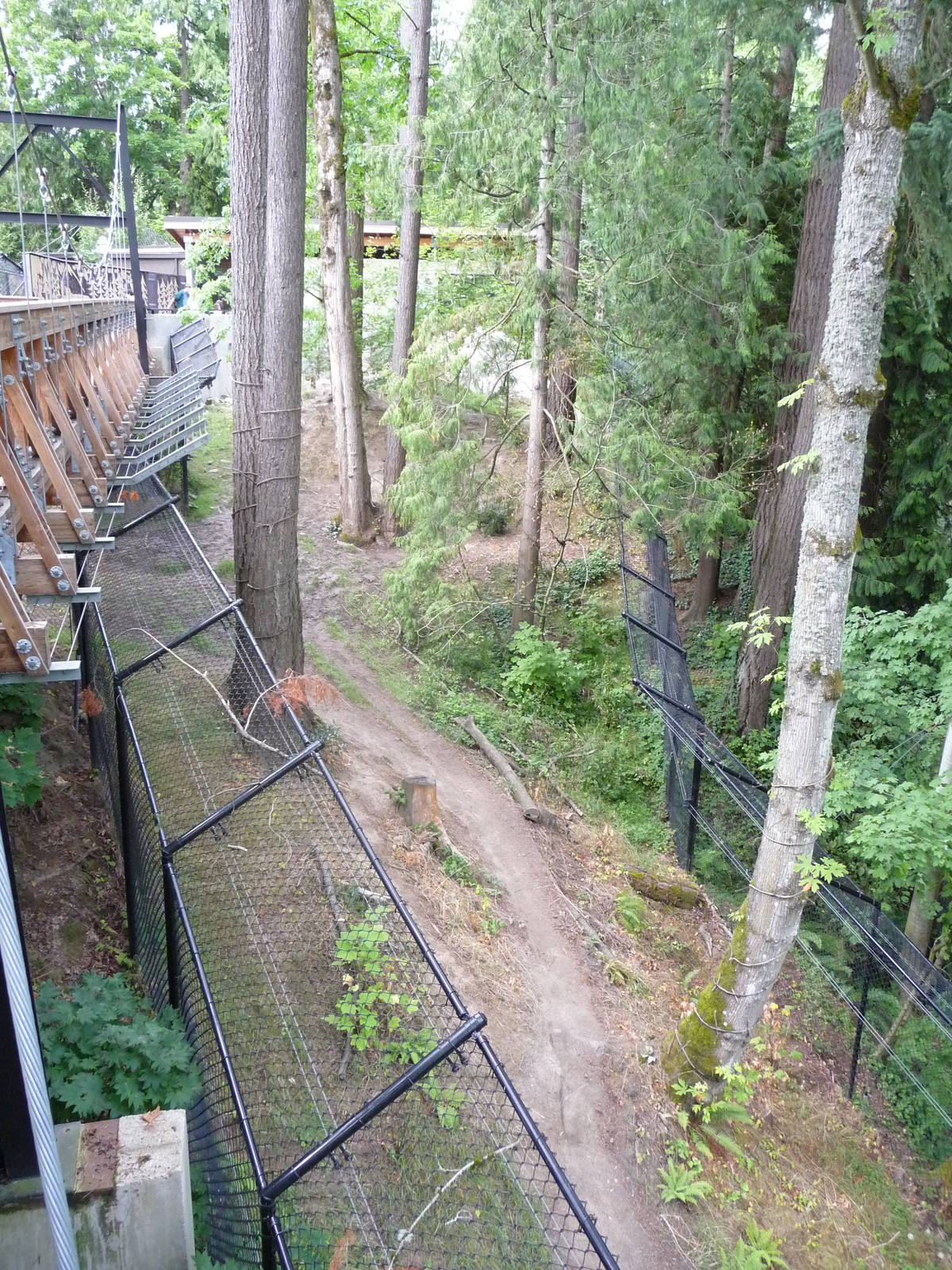 Oregon Zoo - Black Bear Exhibit