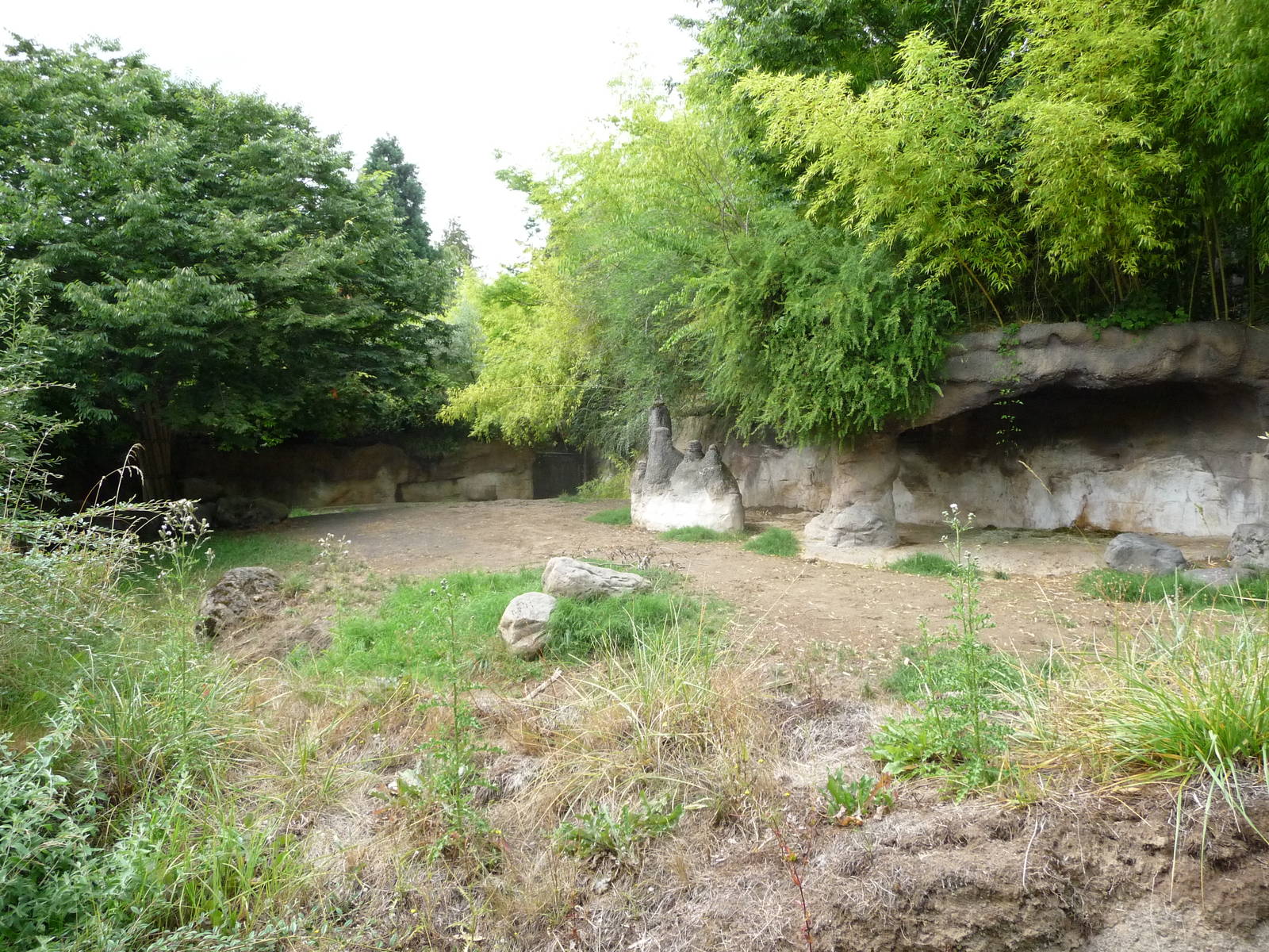 Oregon Zoo - Black Rhino Exhibit