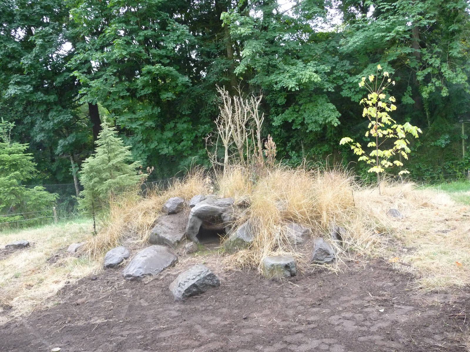 Oregon Zoo - Gray Wolf Exhibit