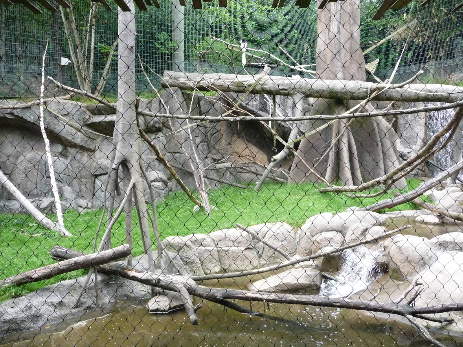 Oregon Zoo - Monkey Exhibit