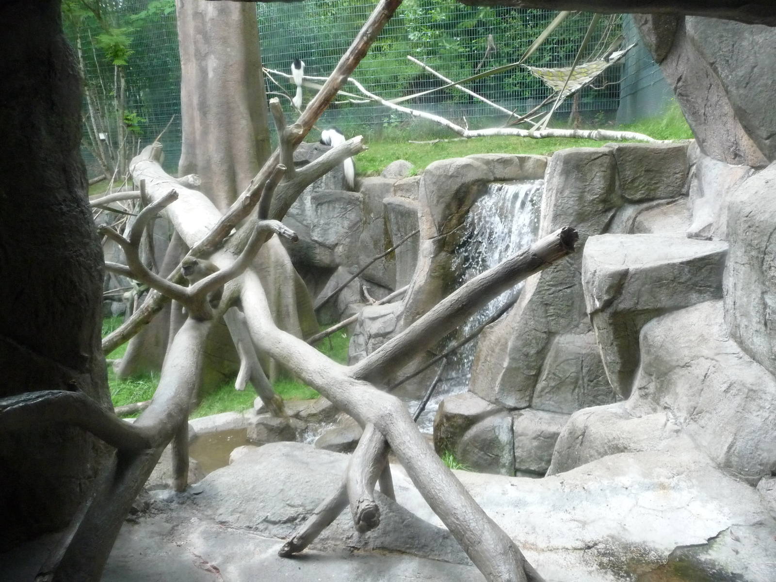 Oregon Zoo - Monkey Exhibit
