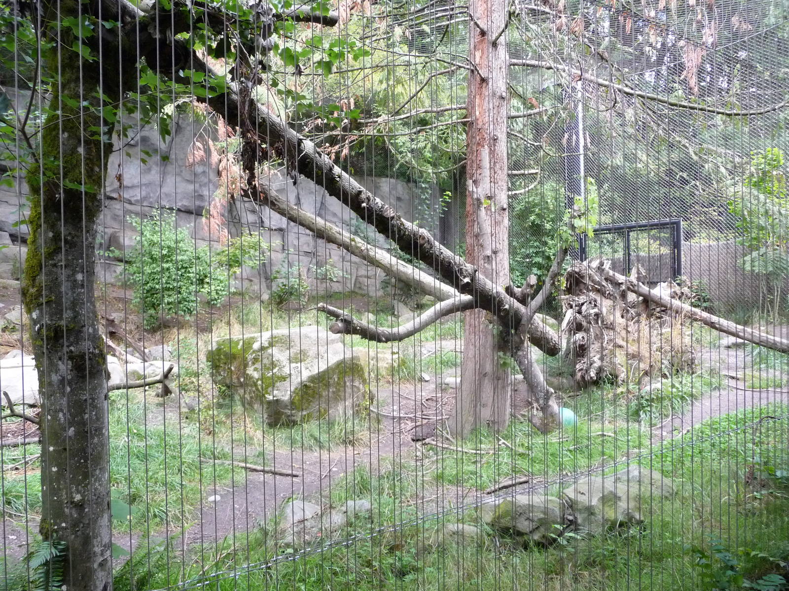 Oregon Zoo - Mountain Lion Exhibit