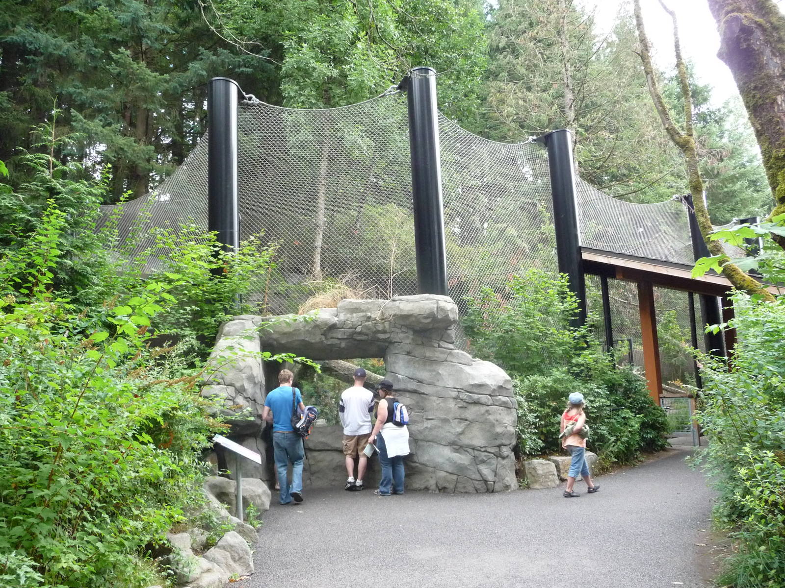 Oregon Zoo - Mountain Lion Exhibit