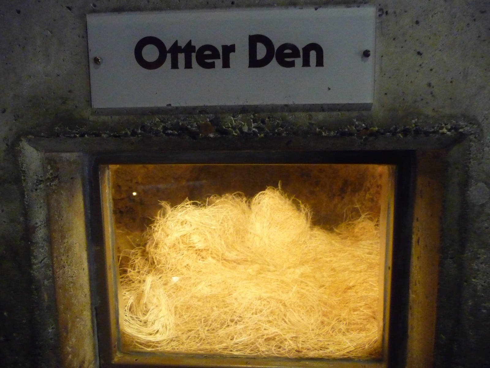 Oregon Zoo - Otter Den
