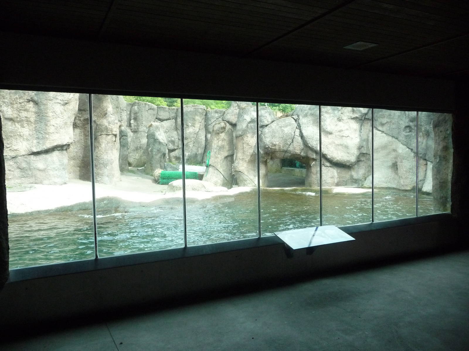 Oregon Zoo - Polar Bear Exhibit