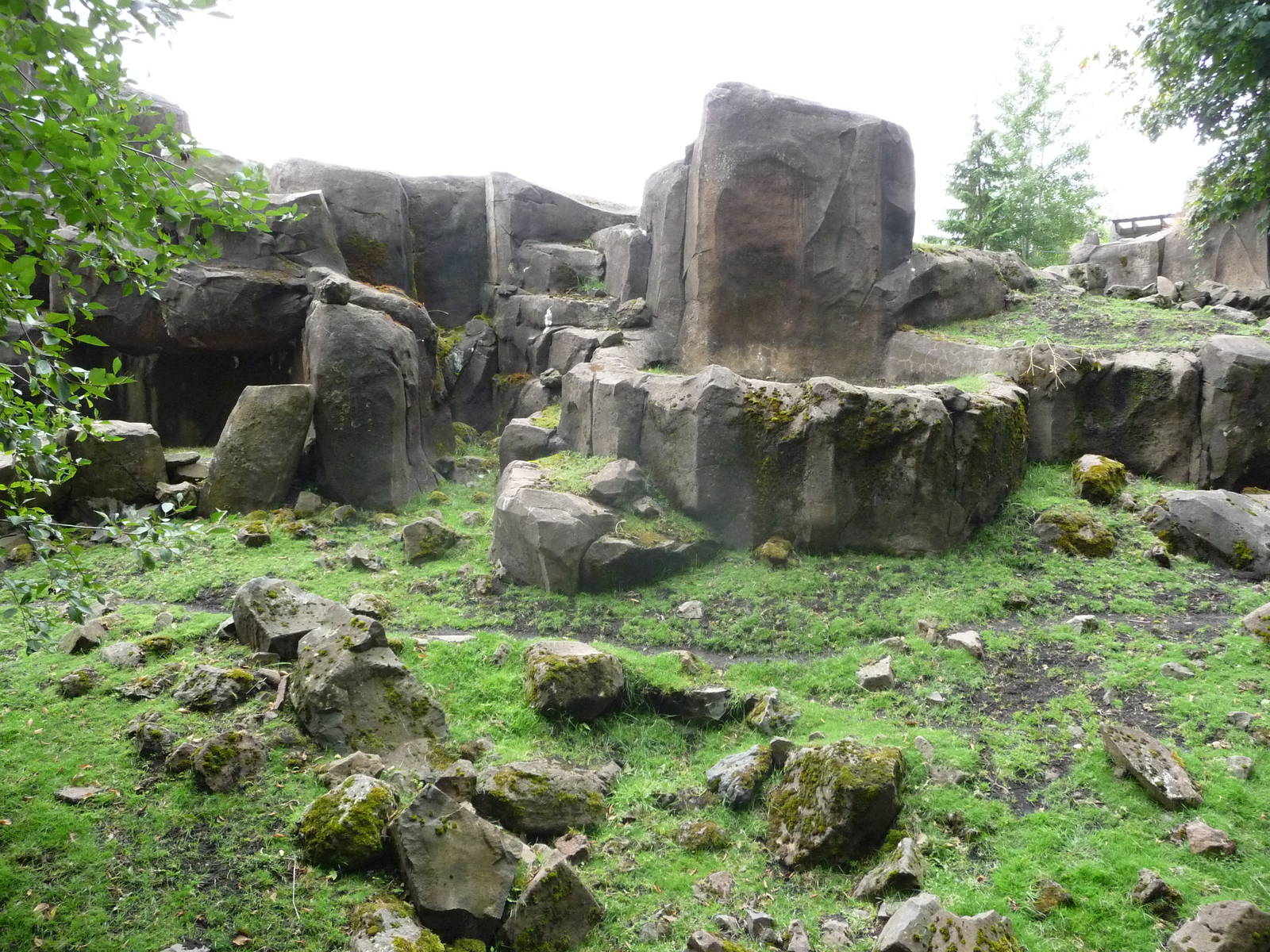 Oregon Zoo - Rocky Mountain Goat Exhibit