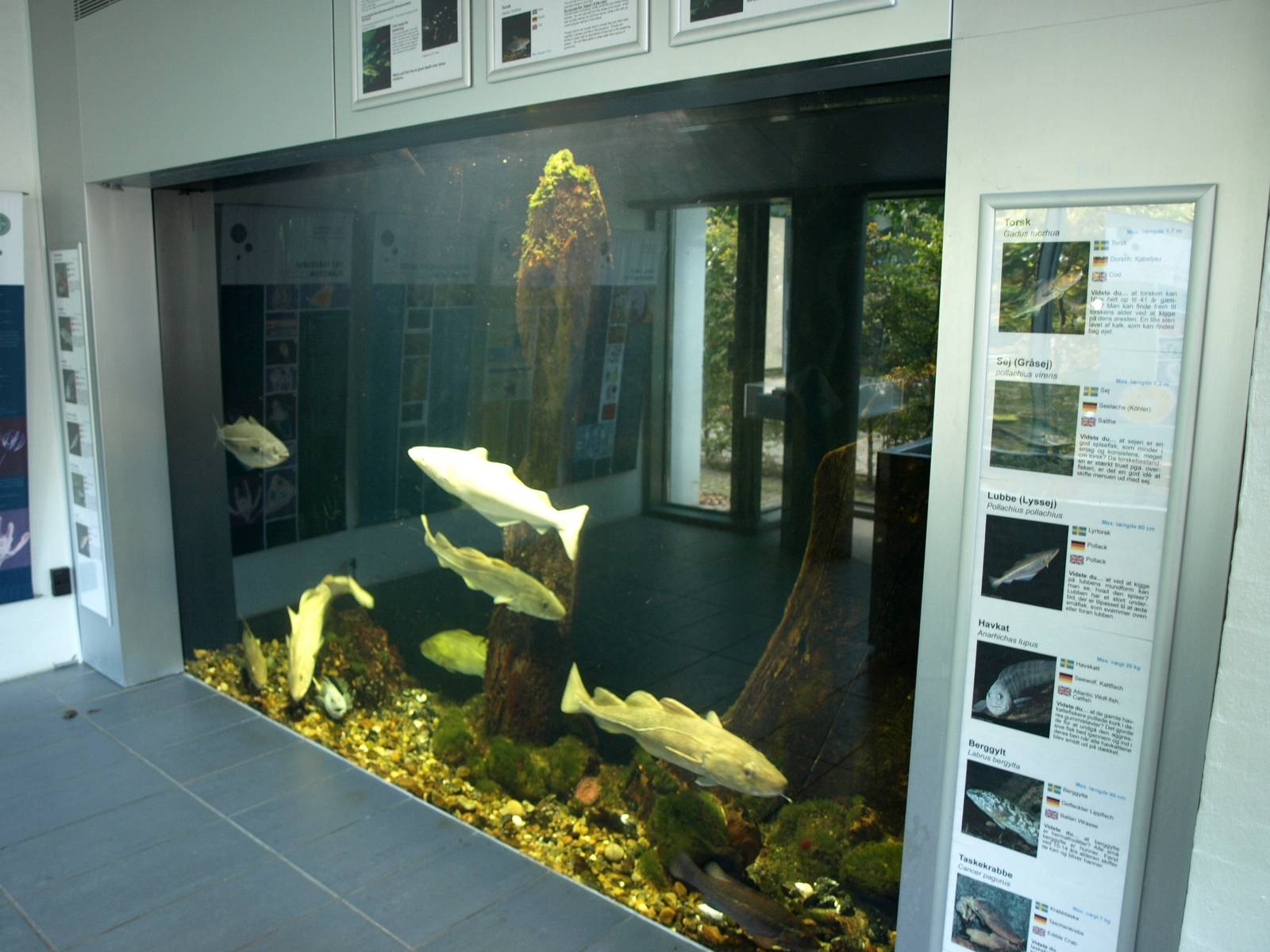 Øresund Aquarium - Aquaria