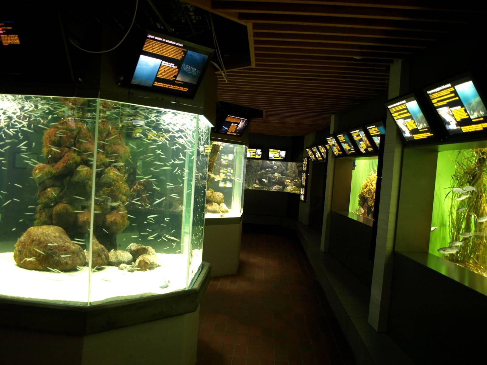Øresund Aquarium - Aquaria