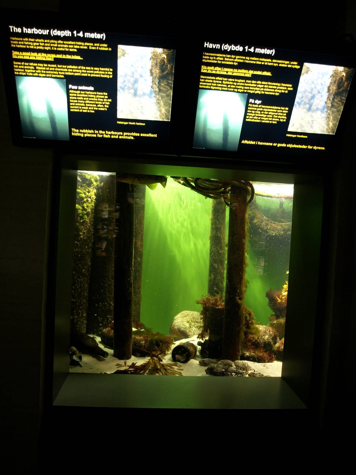 Øresund Aquarium - Biotope aquarium