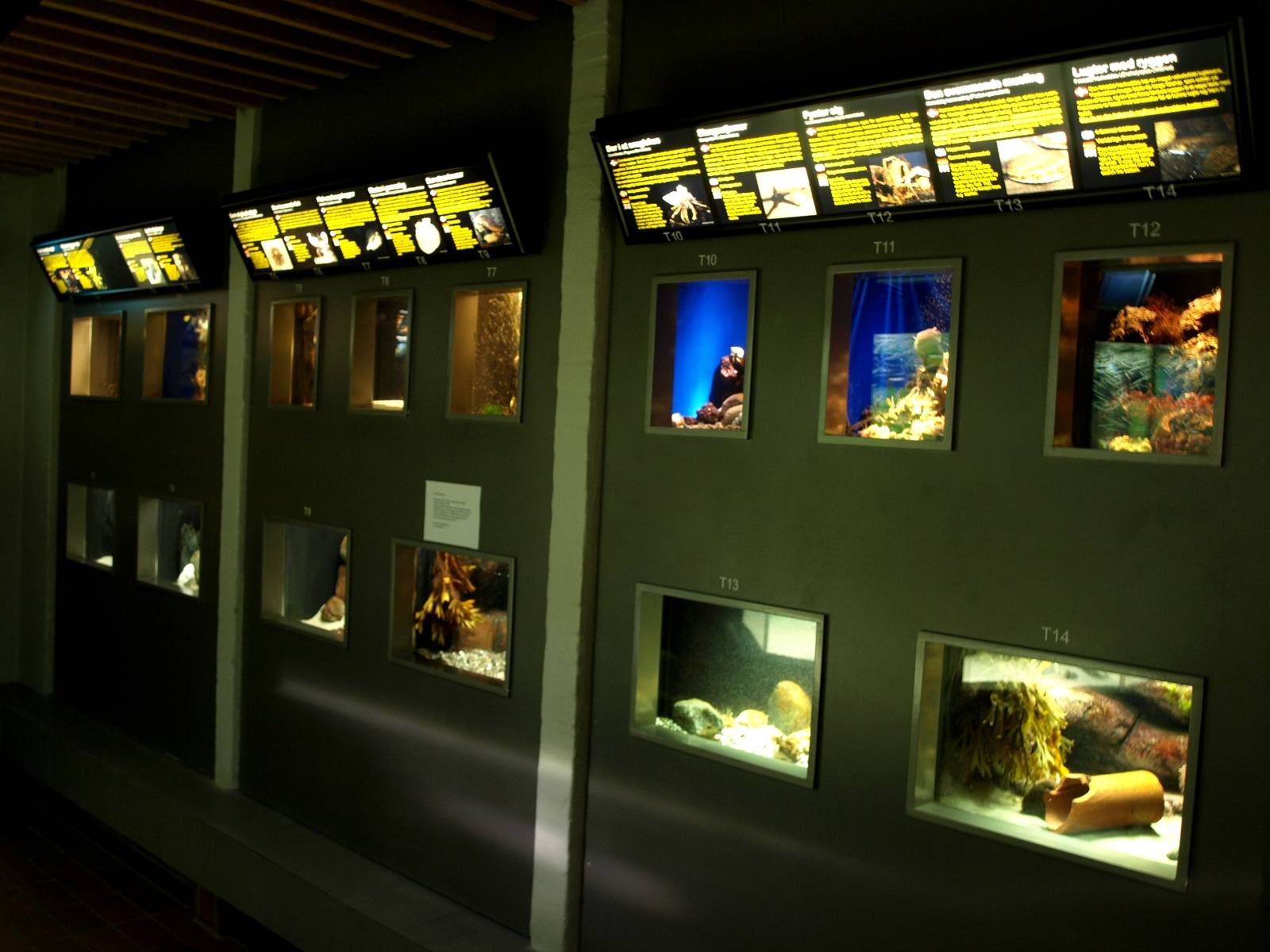 Øresund Aquarium - Thematic aquaria