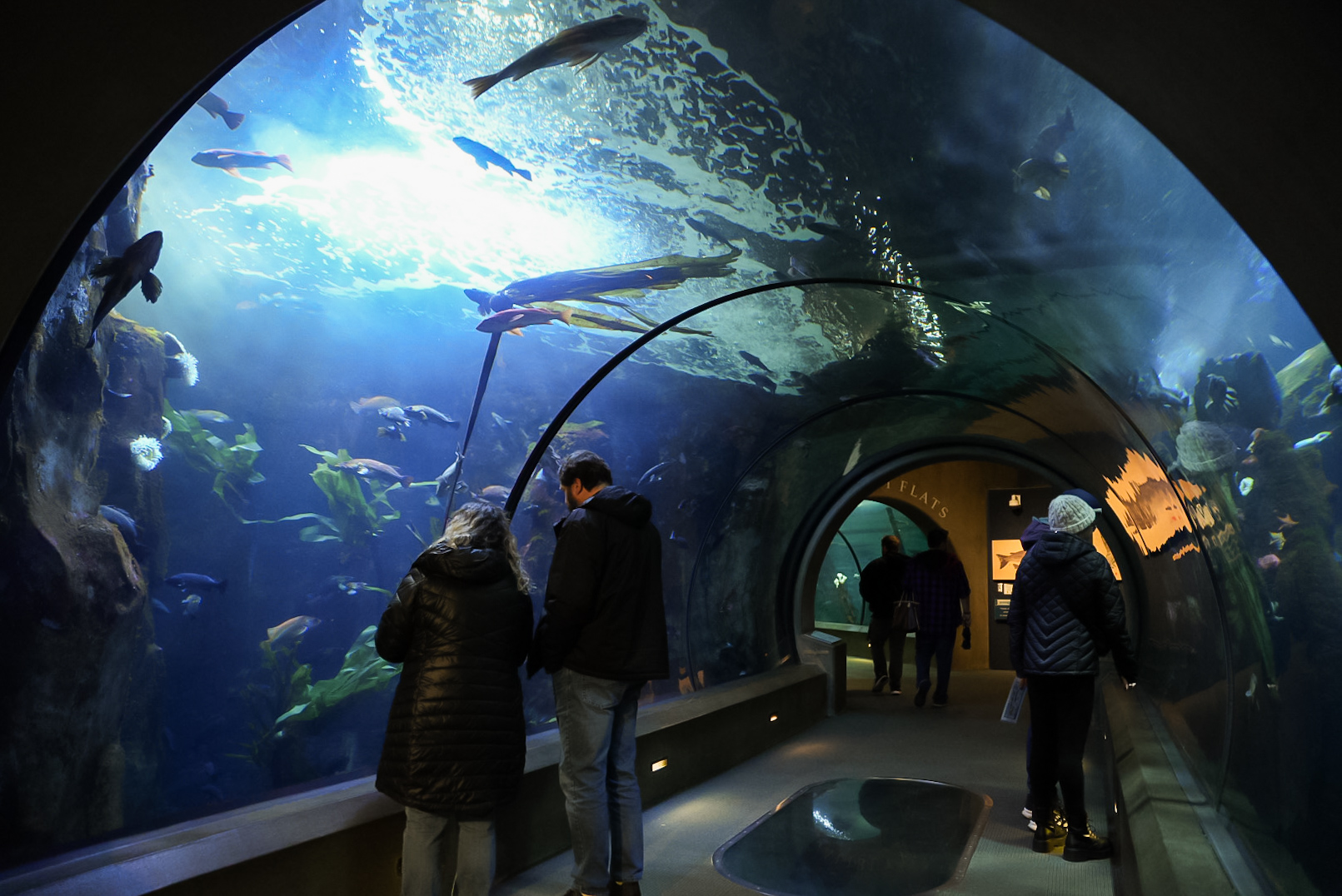 "Orford Reef" (Passages of the Deep)