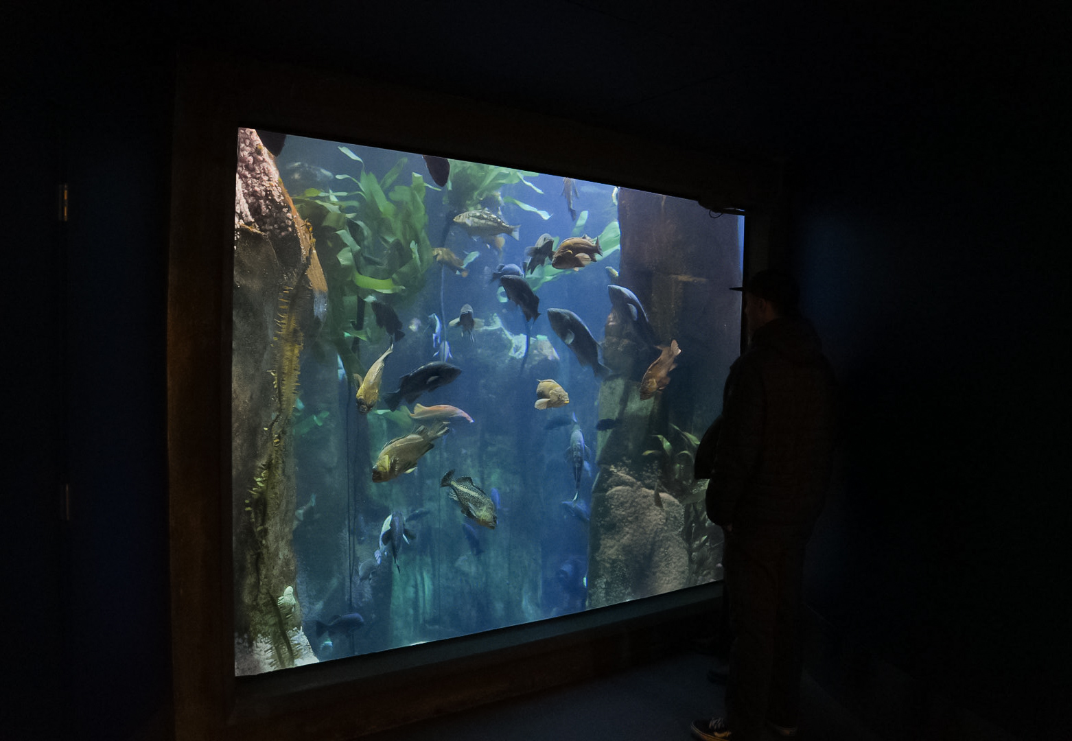 "Orford Reef" (side view)