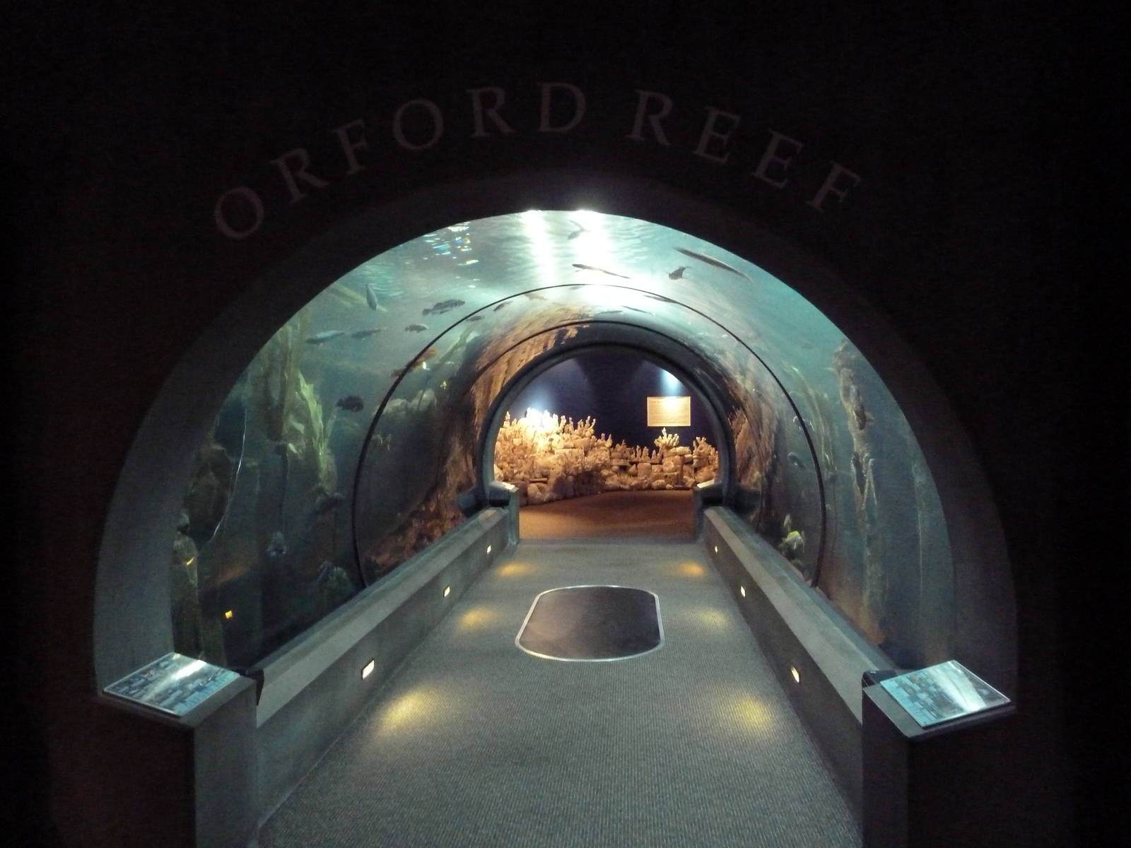 Orford Reef Tunnel