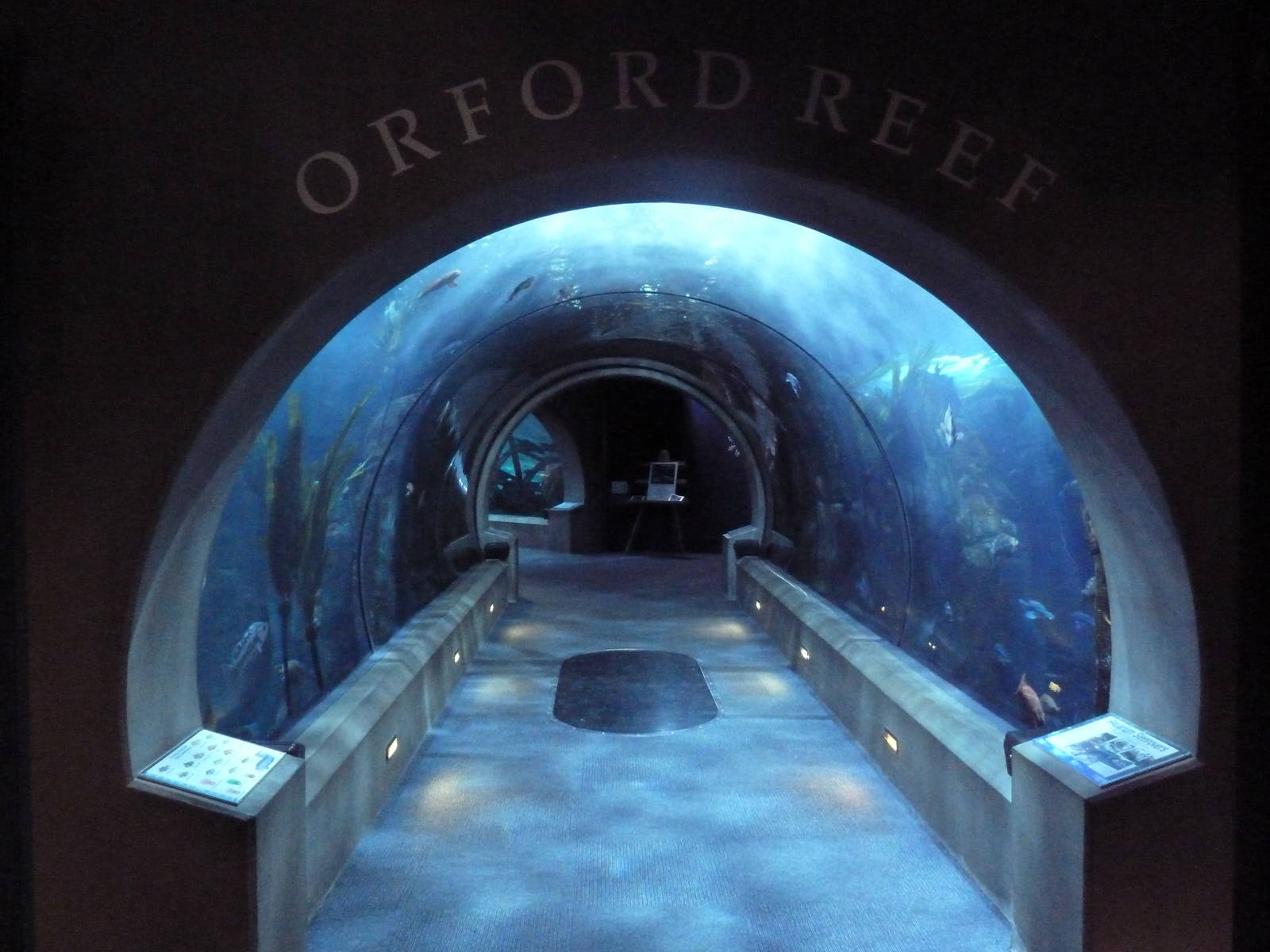 Orford Reef Tunnel