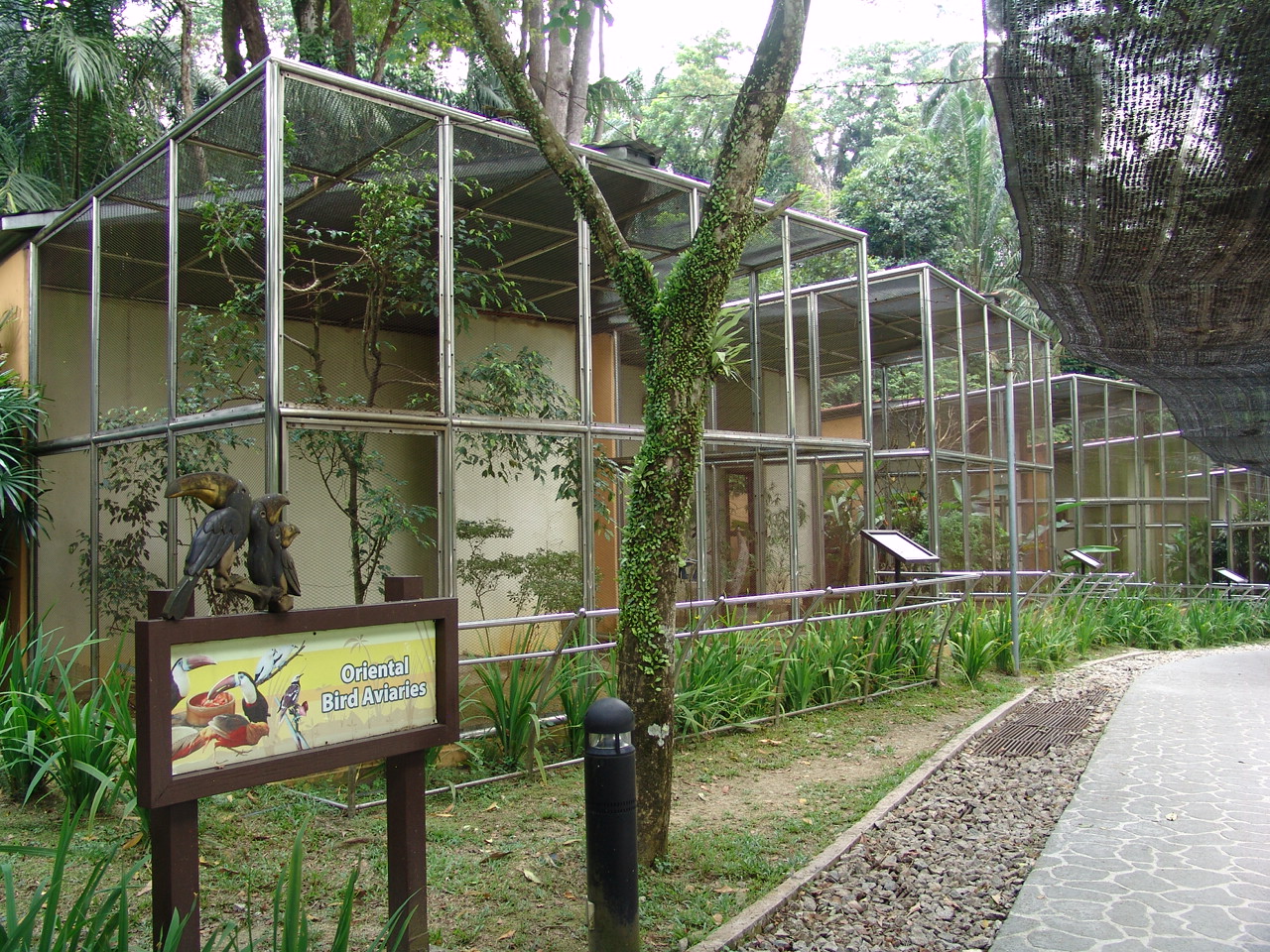 Oriental Bird Aviaries