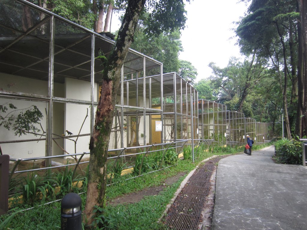 Oriental Bird Aviaries