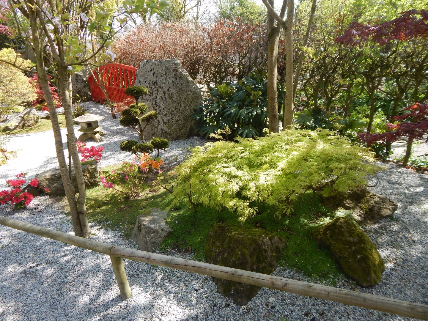 Oriental Garden 240424