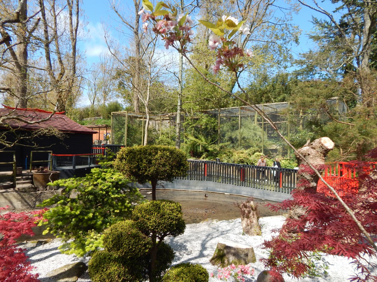 Oriental Garden and Exhibits 240424