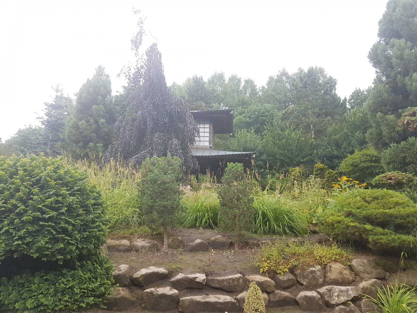 Oriental part of the park