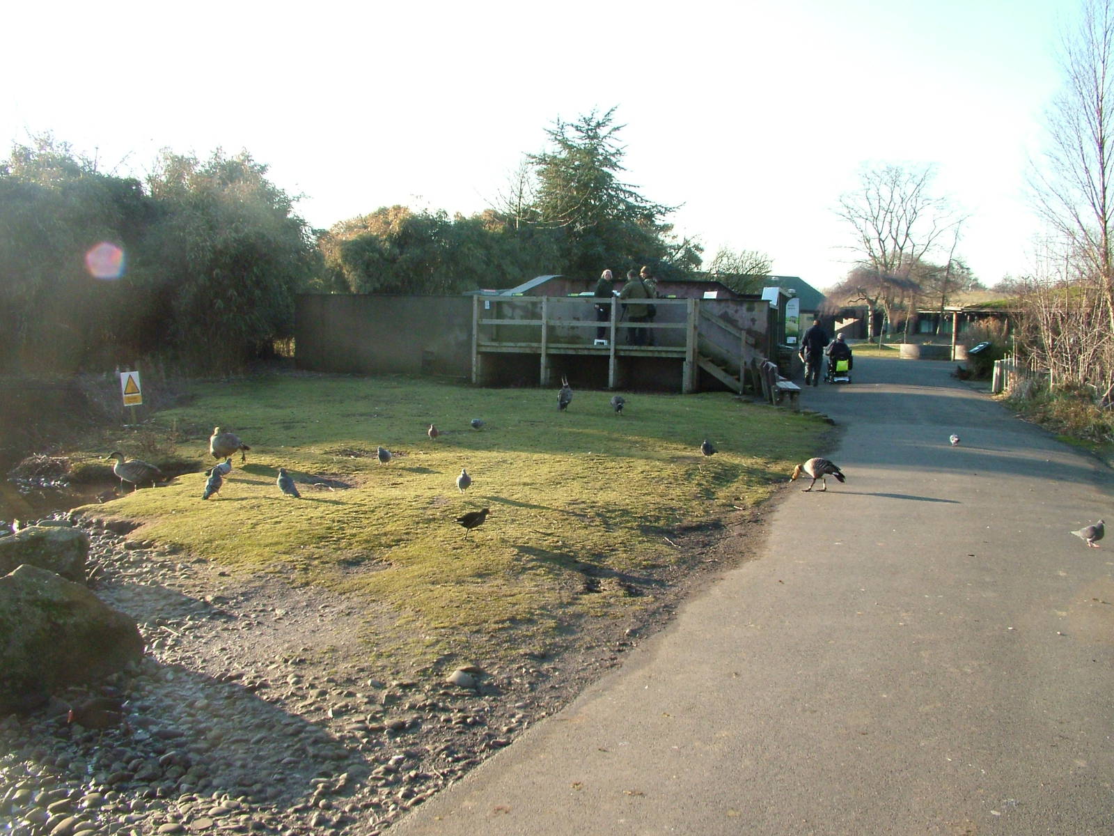 Oriental Pen and Otter Exhibit at Martin Mere, 28/01/11