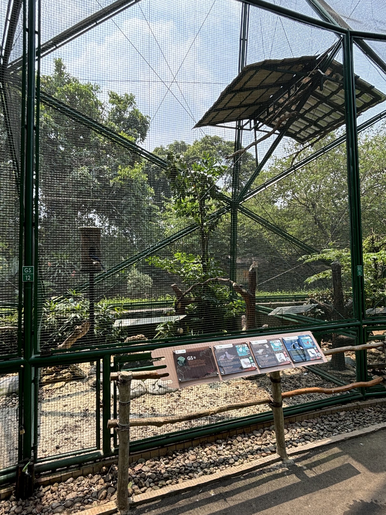 Oriental Pied Hornbill/Black-winged Myna/Sunda Collared Dove Aviary