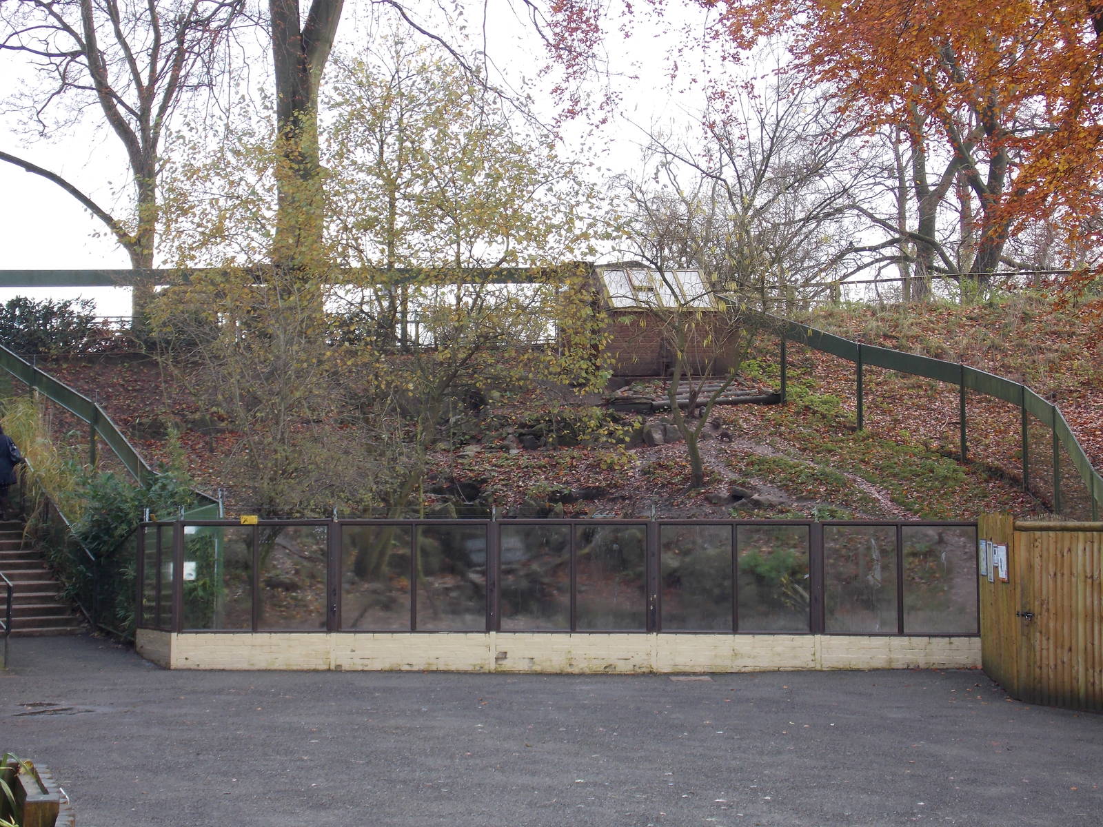 Oriental Short-Clawed Otter Enclosure