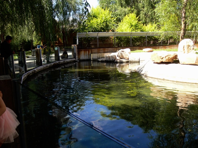 Oriental small-clawed otter enclosure, Changchun Zoo