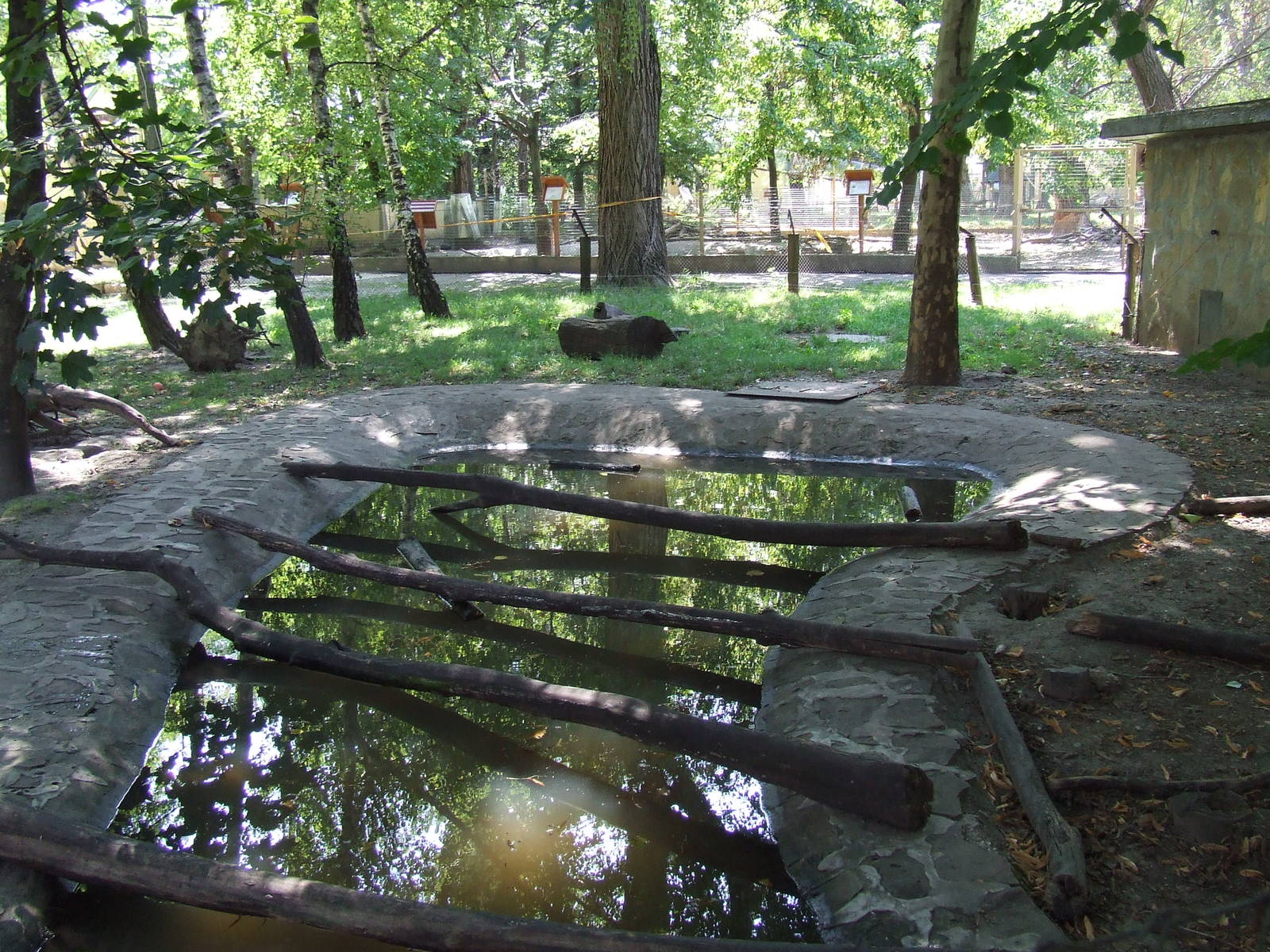 Oriental Small-clawed Otter enclosure