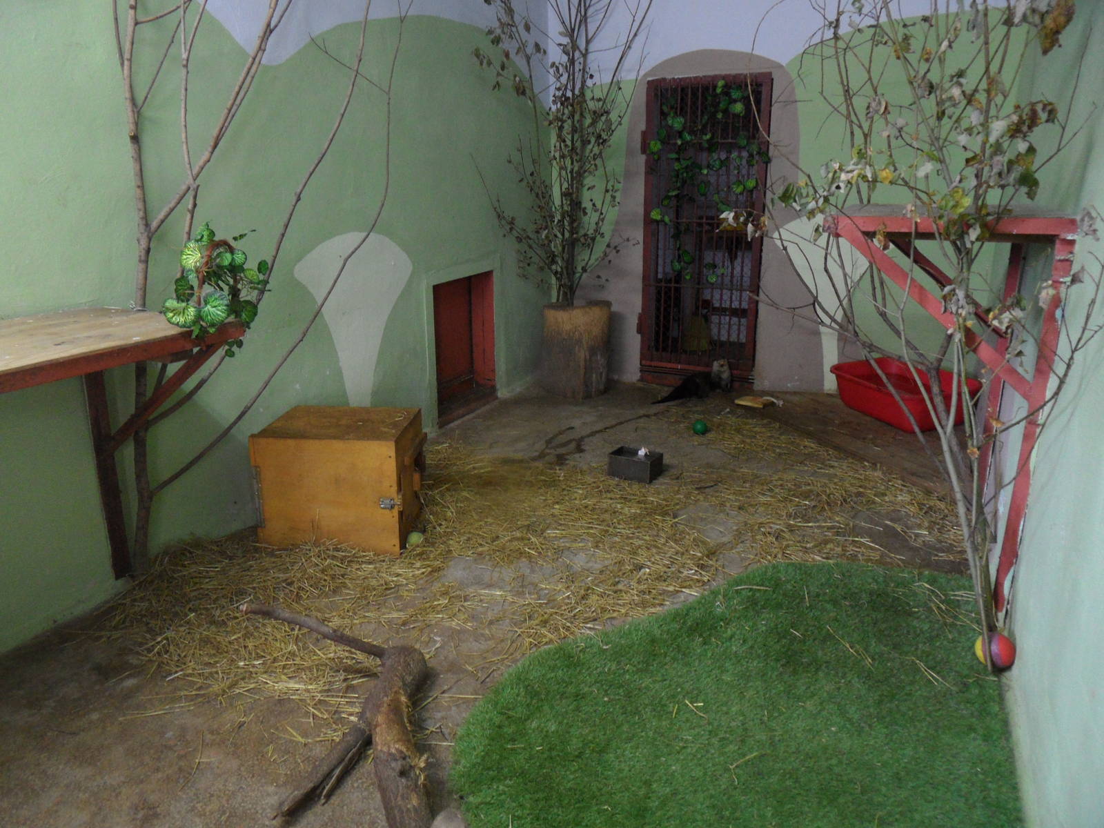 Oriental small-clawed otter exhibit