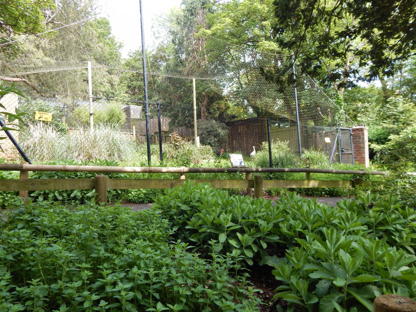 Oriental stork aviary 170524