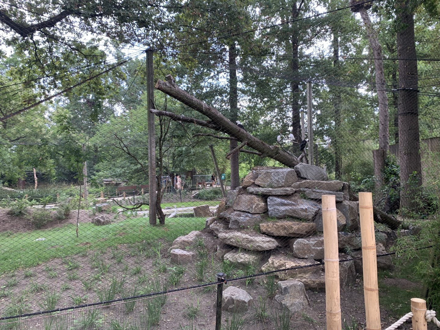 Oriental Stork aviary
