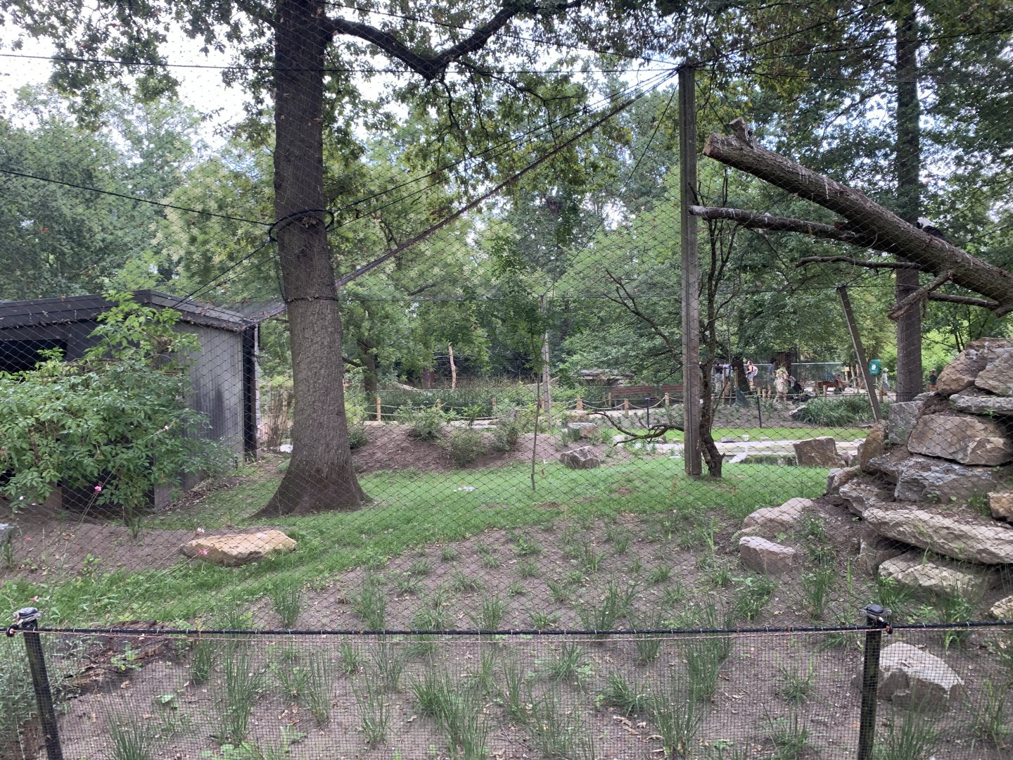Oriental Stork aviary