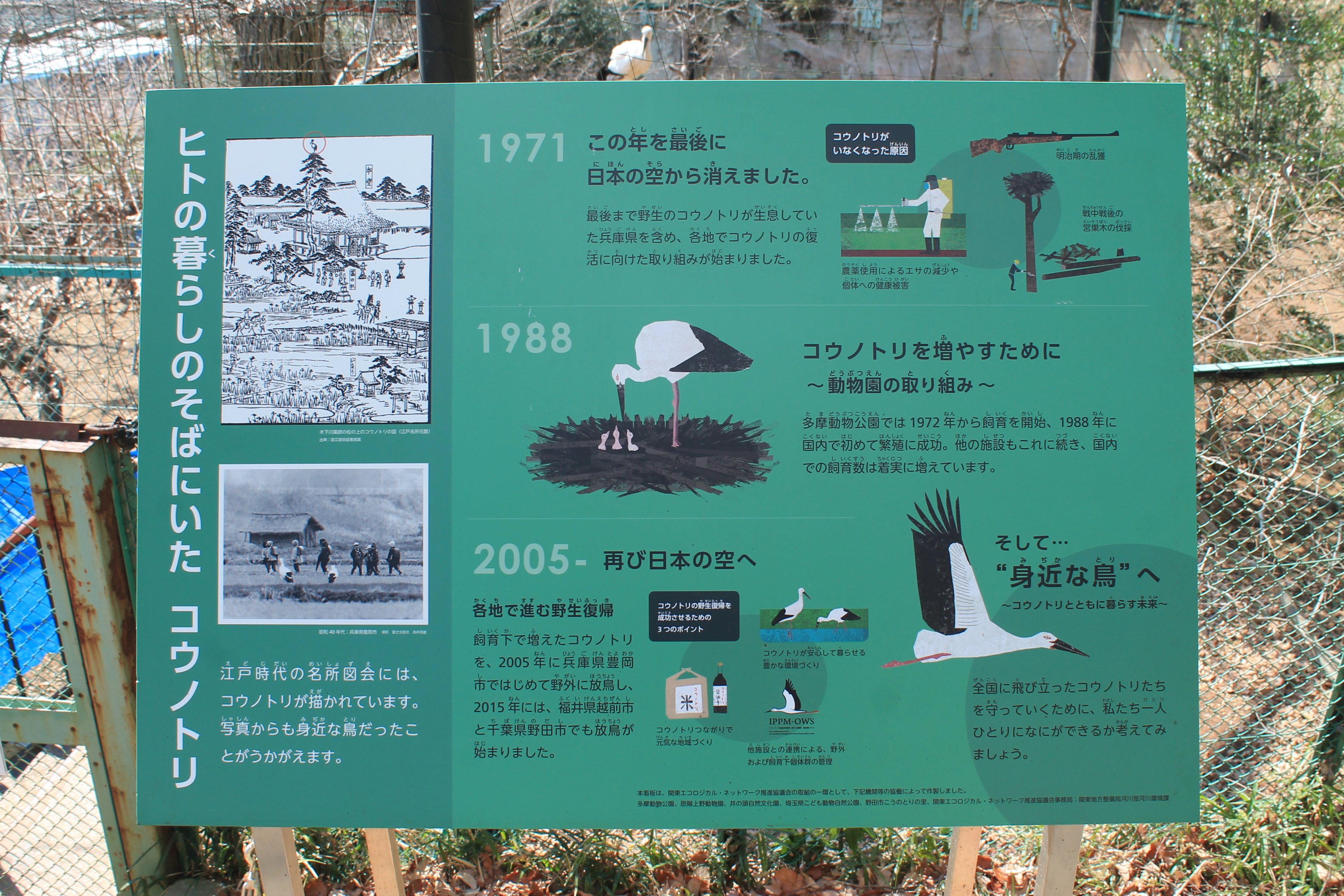 Oriental Stork signage
