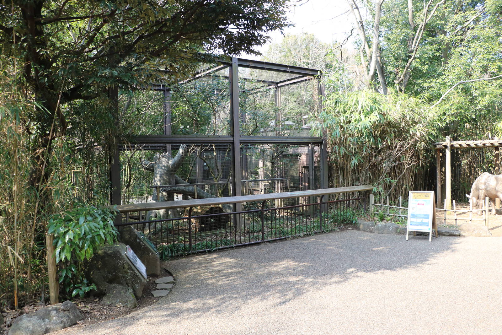 Oriental white stork aviary, February 2016