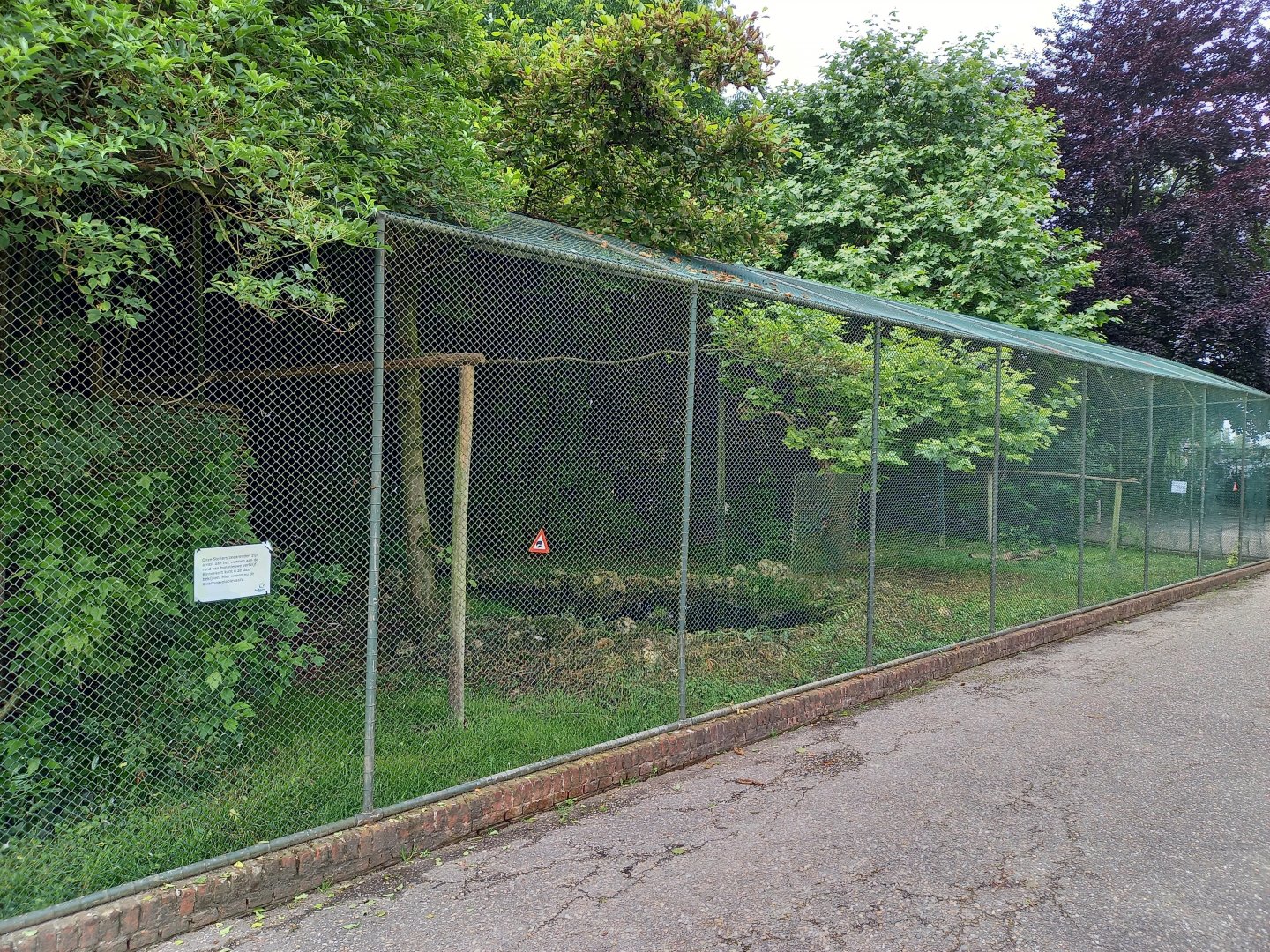 Oriental white stork aviary