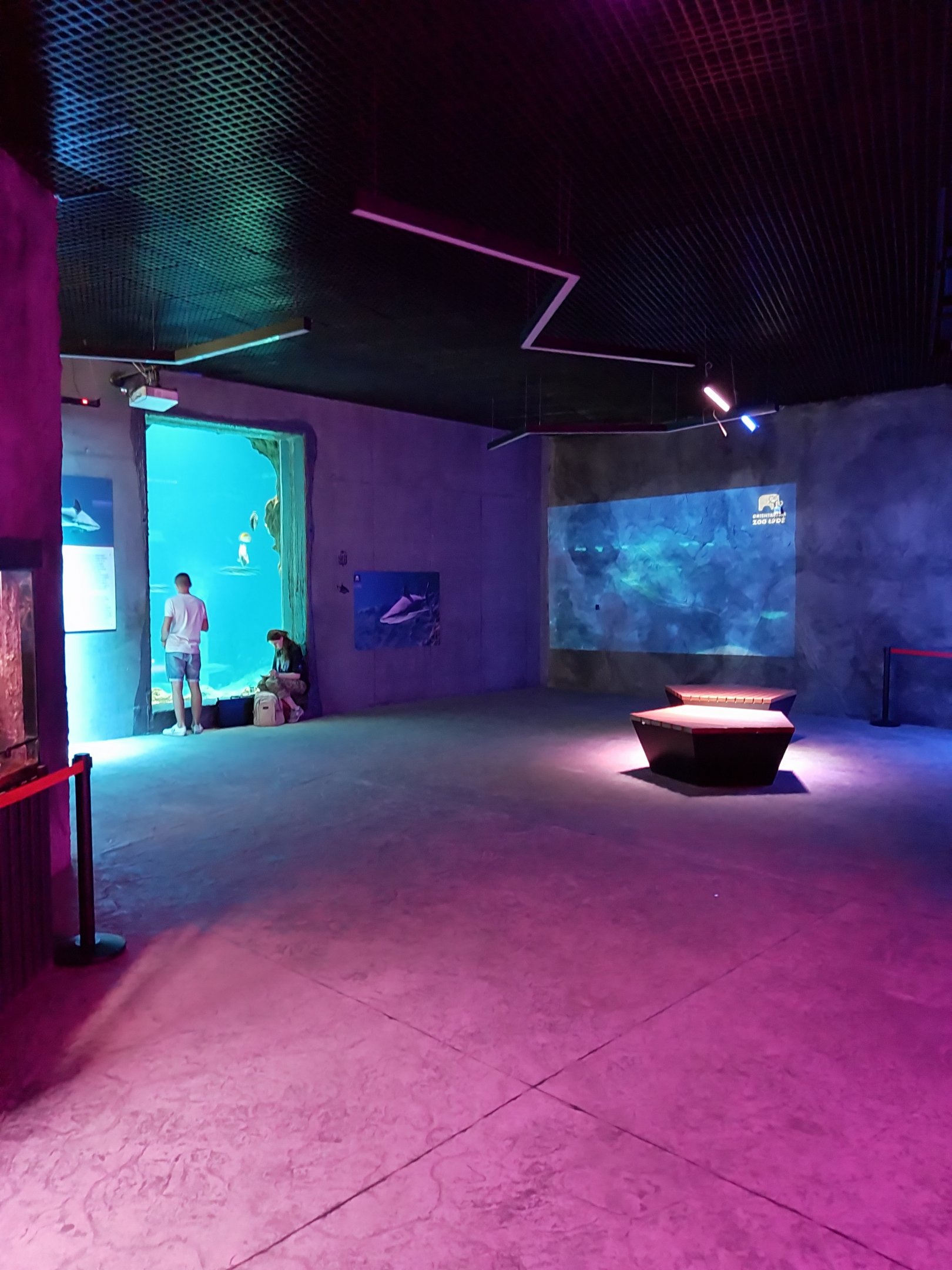 Orientarium - Aquarium - First room