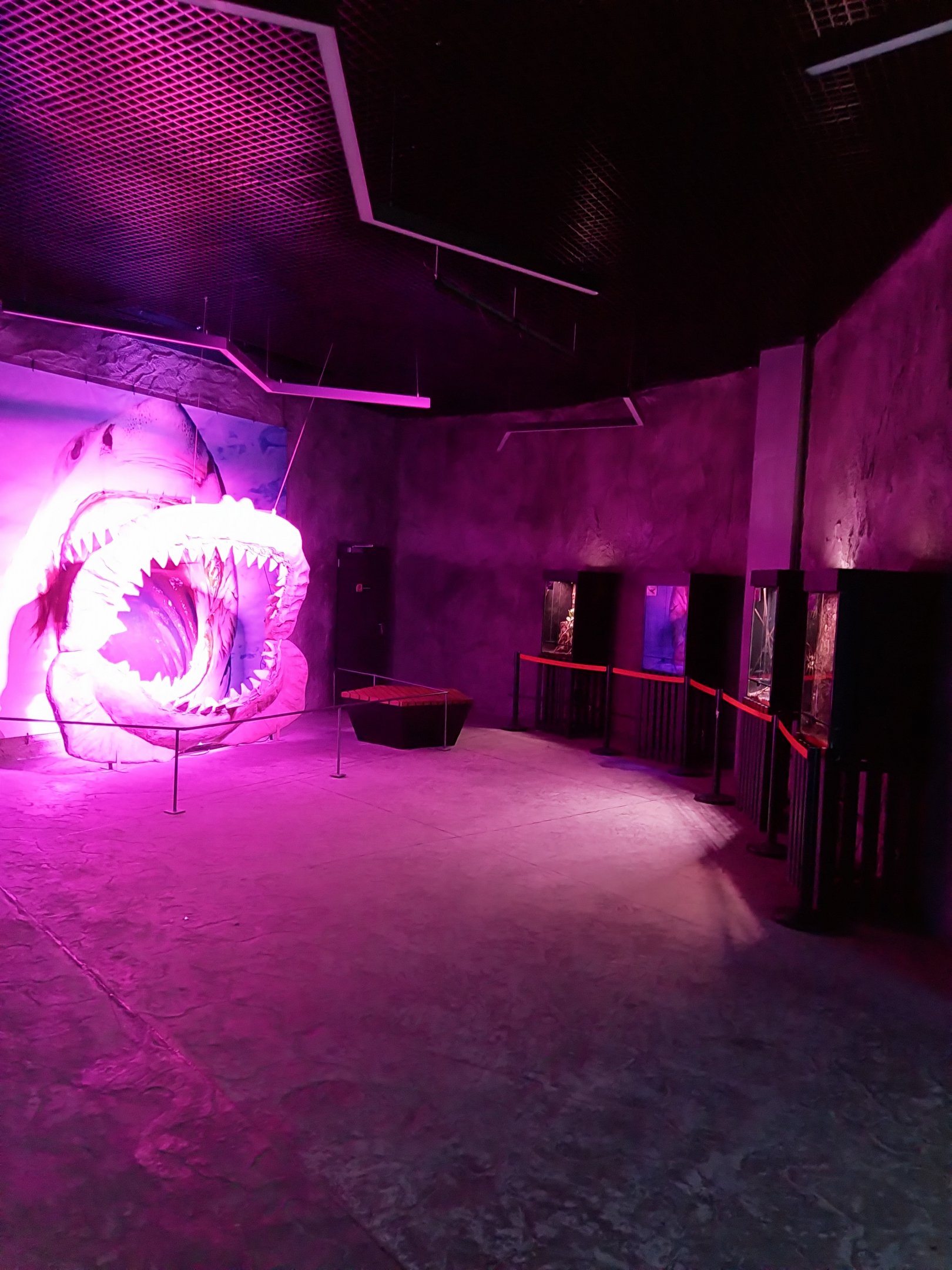 Orientarium - Aquarium - First room