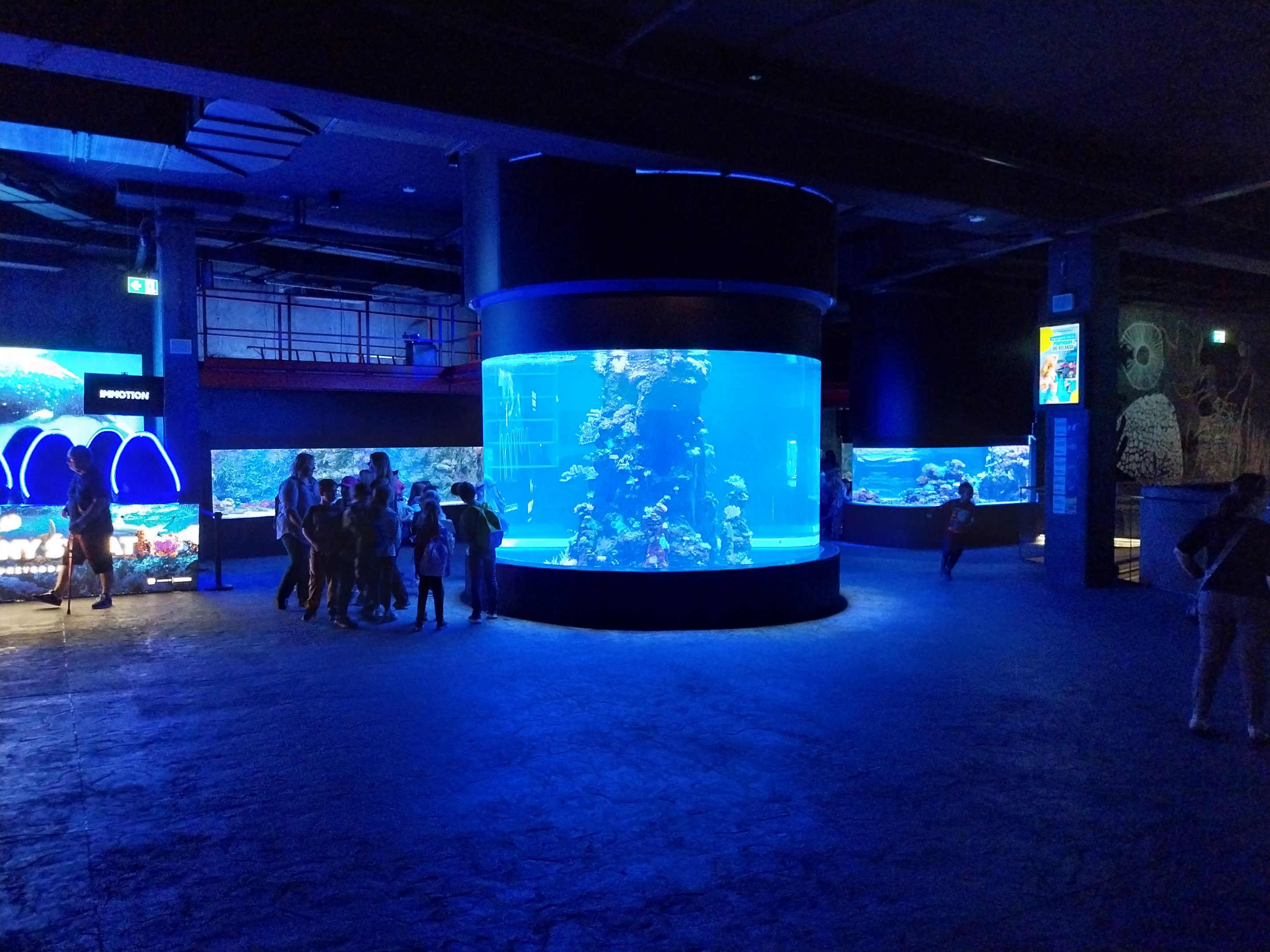 Orientarium - Aquarium - Main room - Cilinder tank