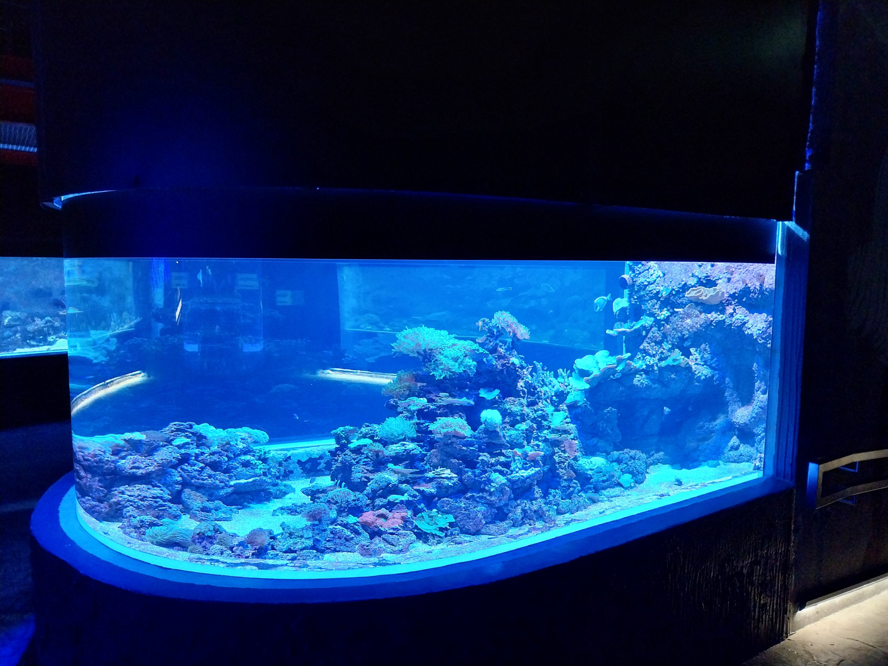 Orientarium - Aquarium - Main room