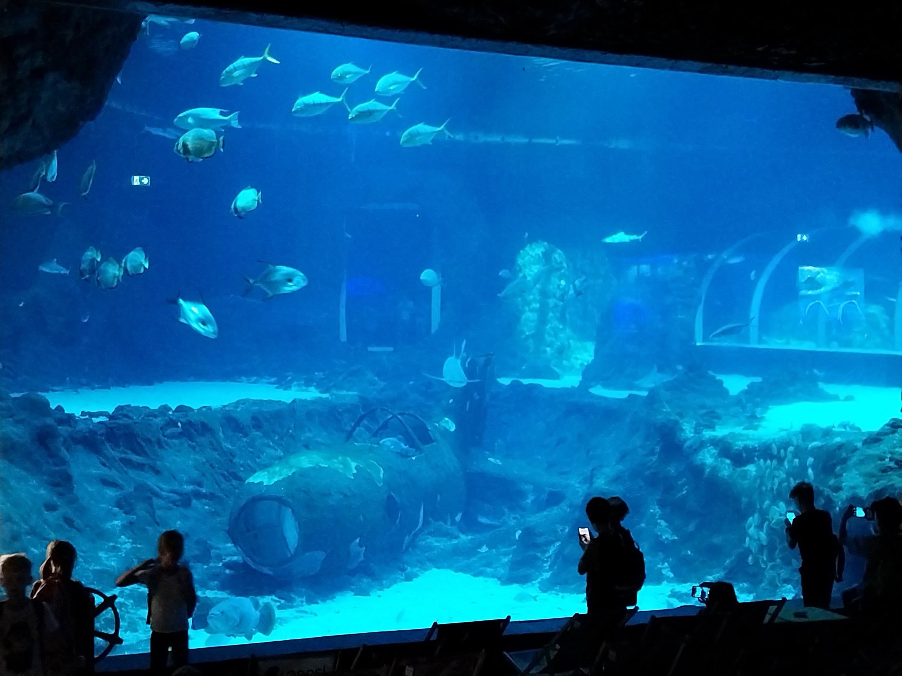 Orientarium - Aquarium - Main tank