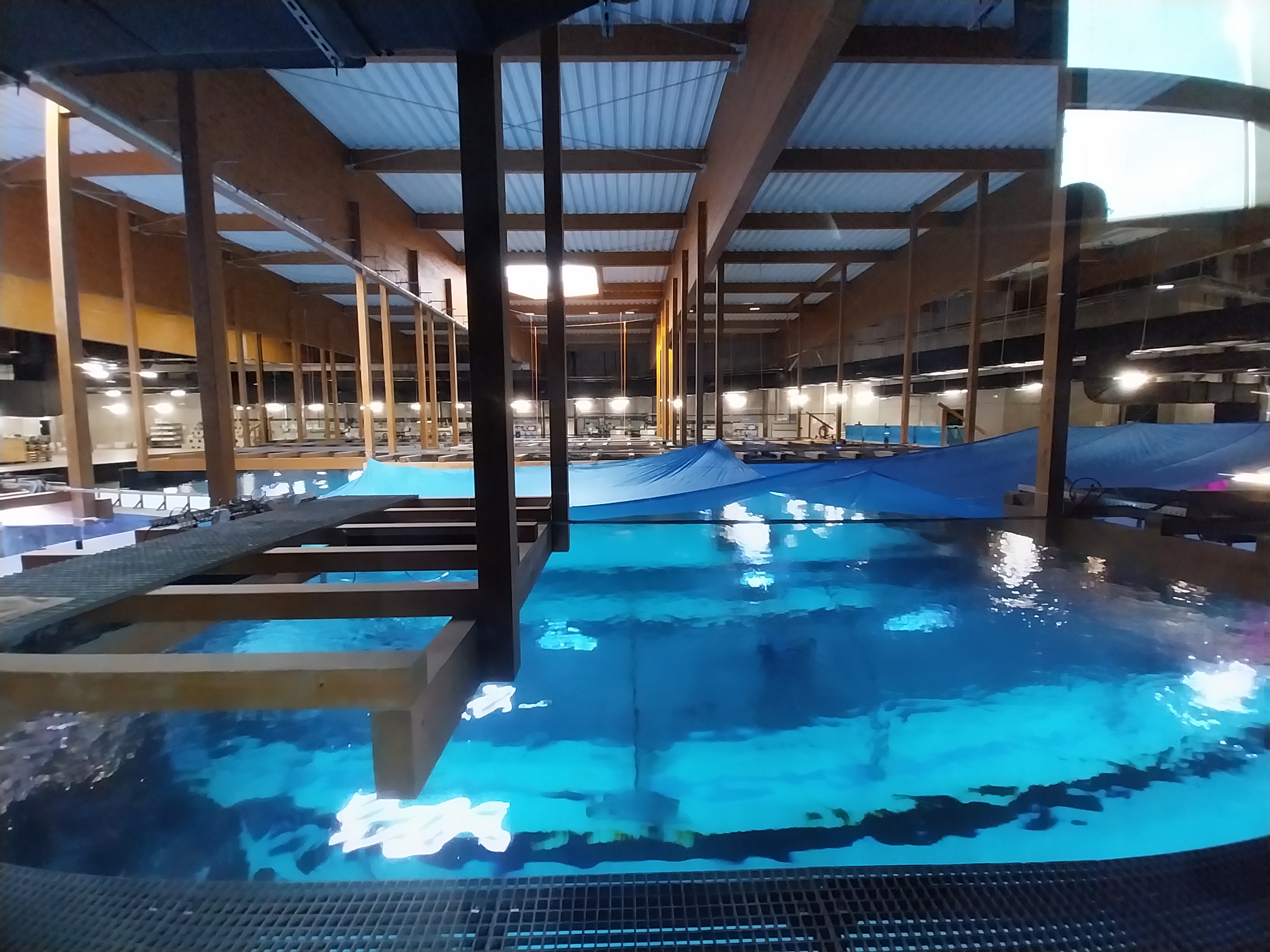 Orientarium - Aquarium