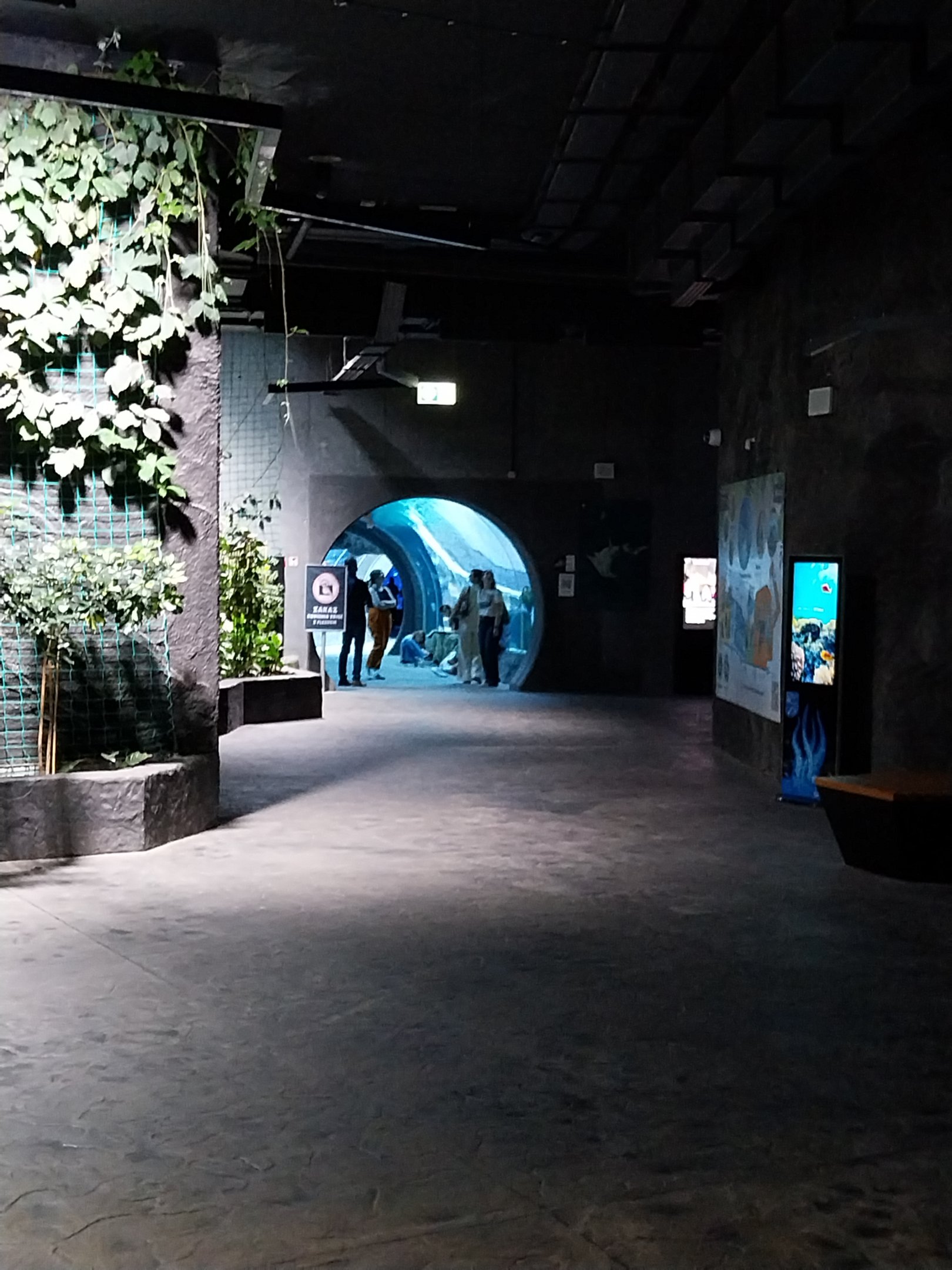 Orientarium - Aquarium