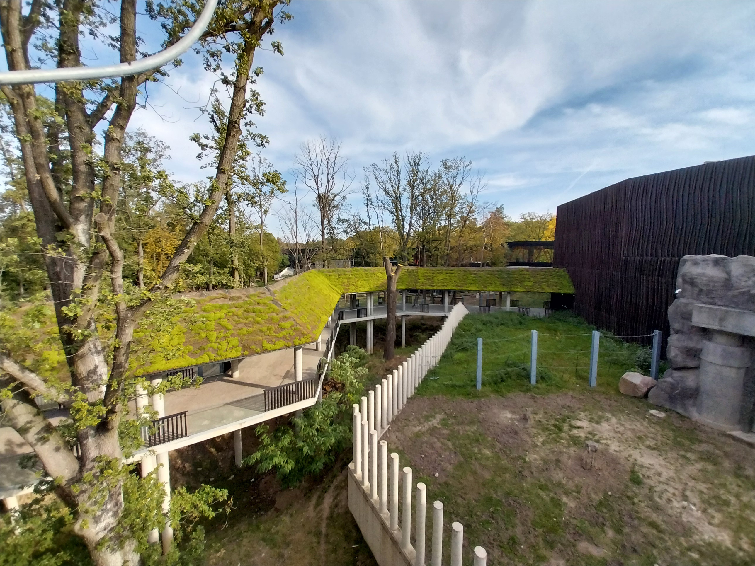 Orientarium - Asiatic Elephant (Elephas maximus) - Elevated walkway