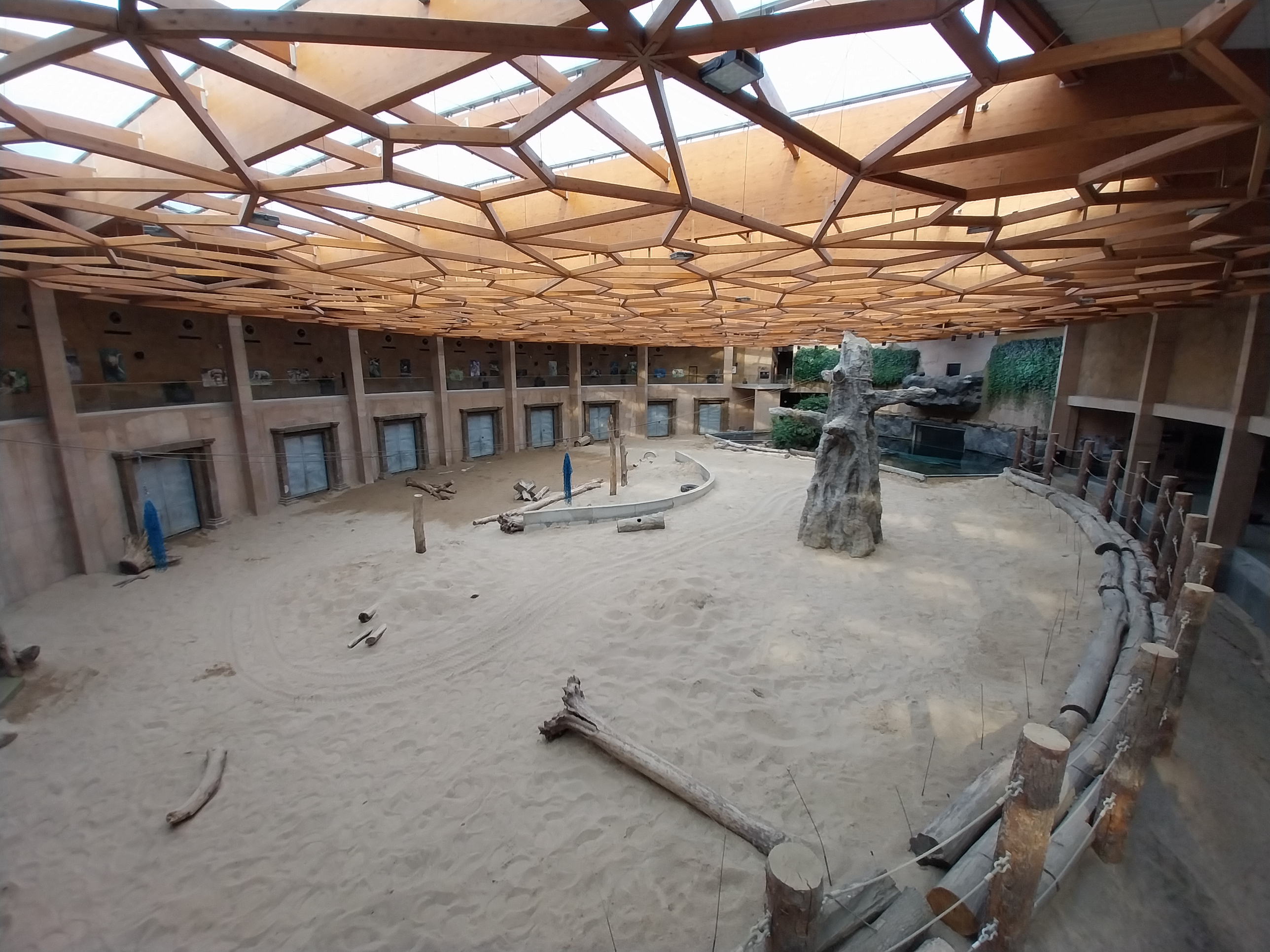 Orientarium - Asiatic Elephant (Elephas maximus)