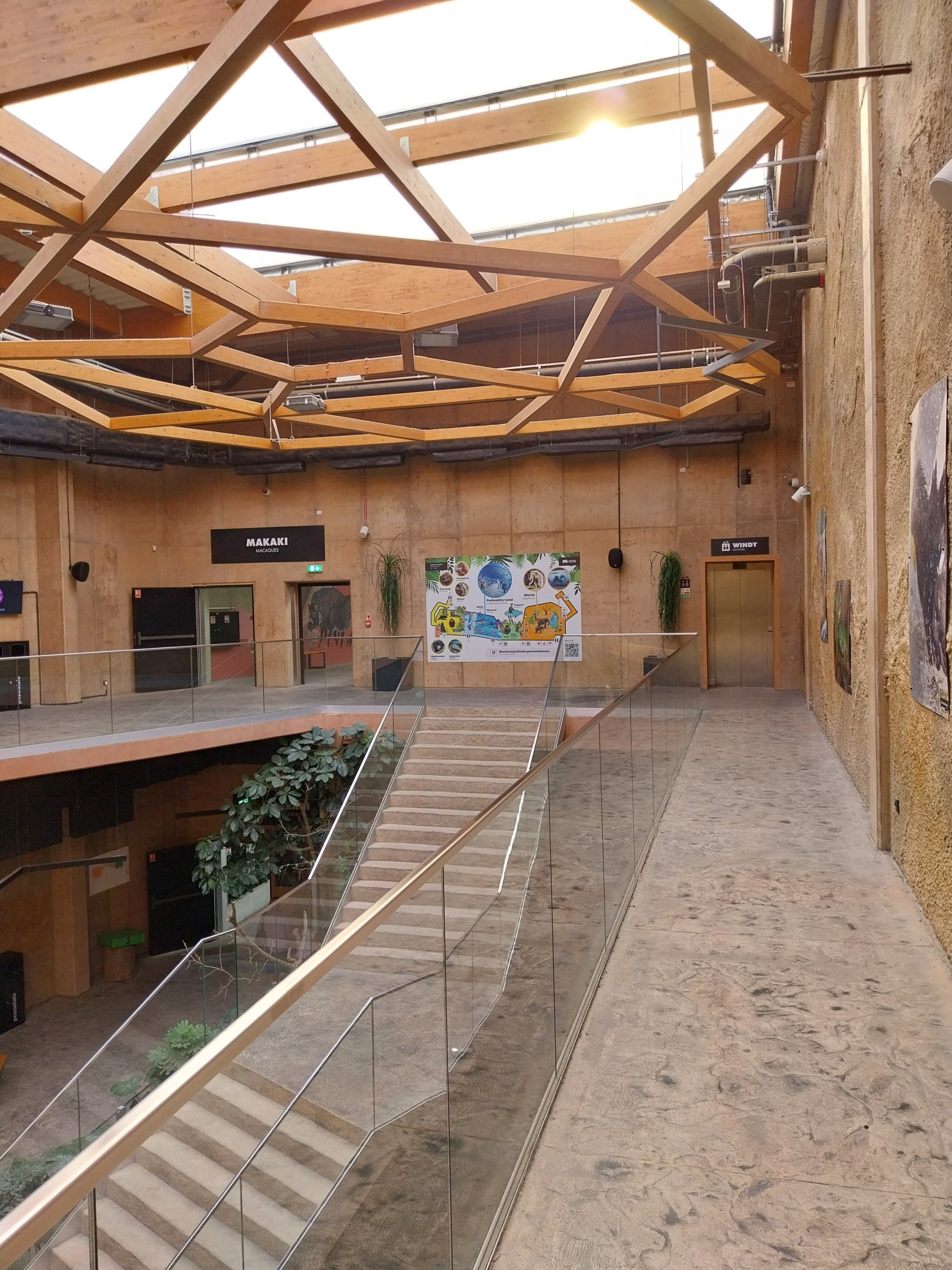 Orientarium - Asiatic Elephant (Elephas maximus)