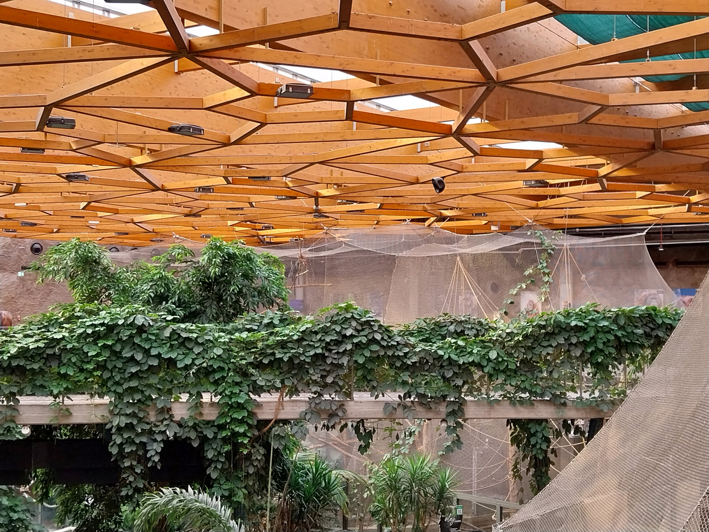 Orientarium - Jungle Hall - Elevated walkway