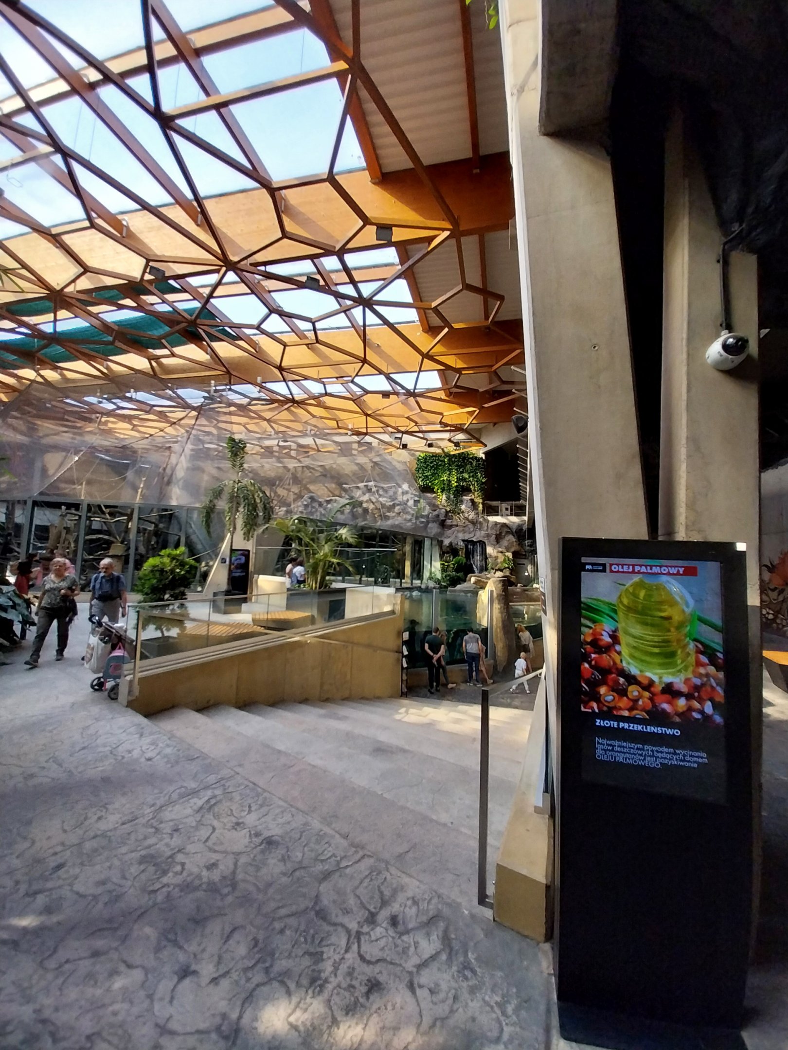 Orientarium - Jungle Hall - False Gharial (Tomistoma schlegelii)