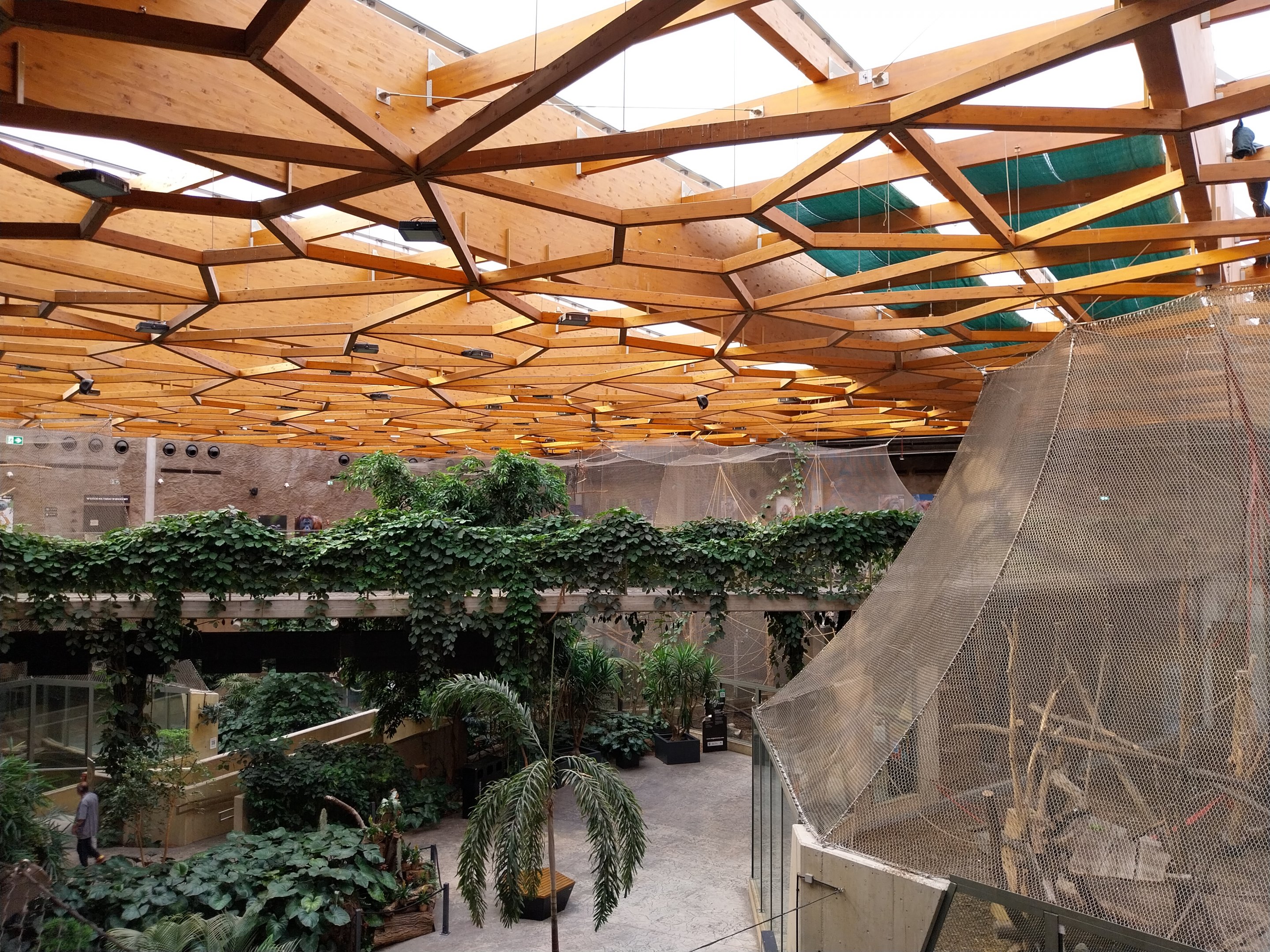 Orientarium - Jungle Hall - Genera view