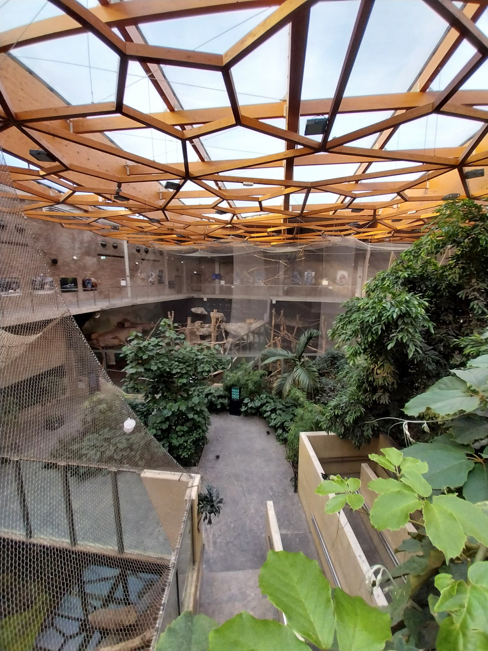 Orientarium - Jungle Hall - General view